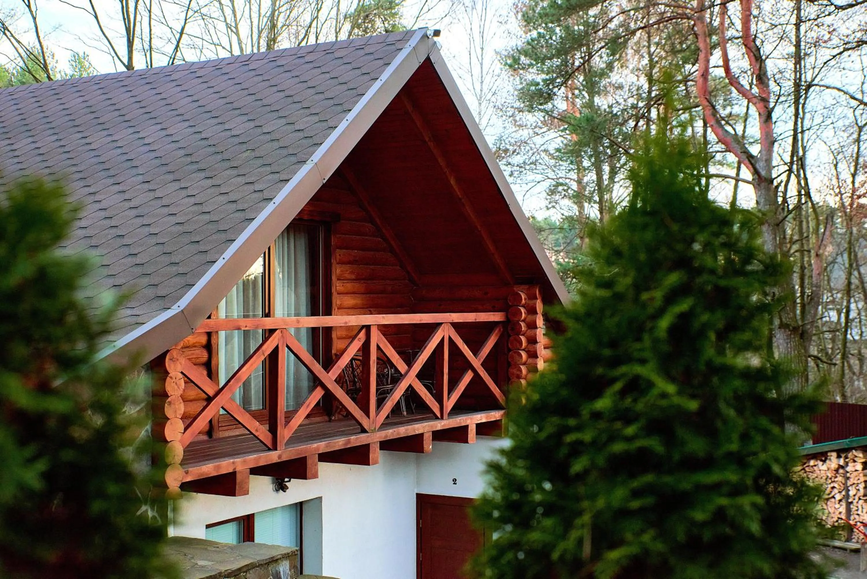 Property building in Kryve Ozero