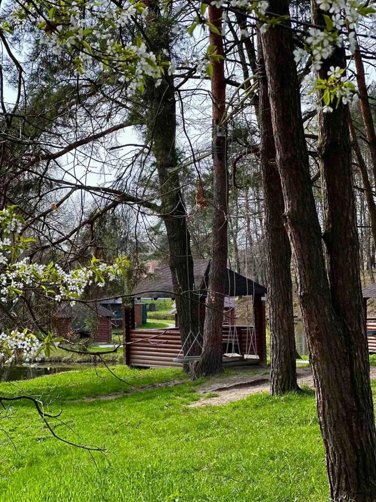 Spring in Kryve Ozero