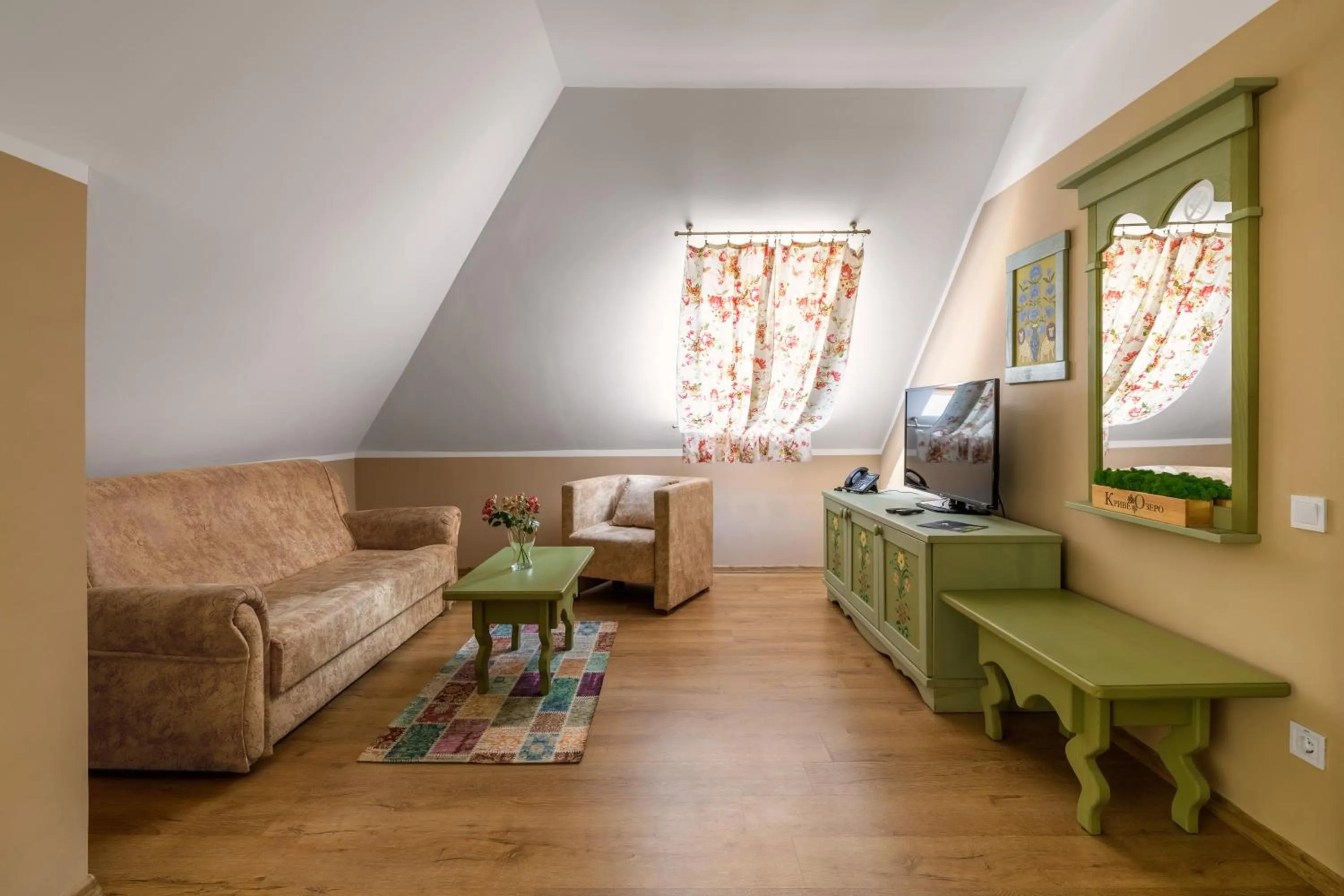 Living room in Kryve Ozero