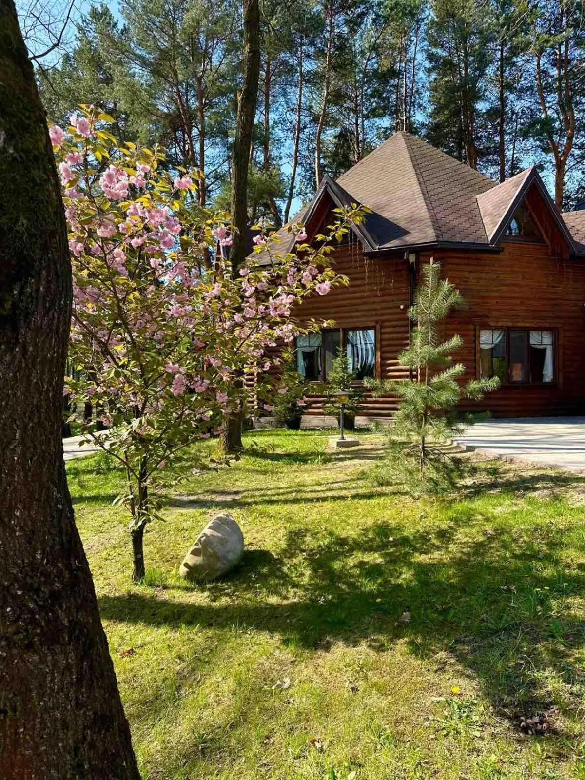 Property building in Kryve Ozero