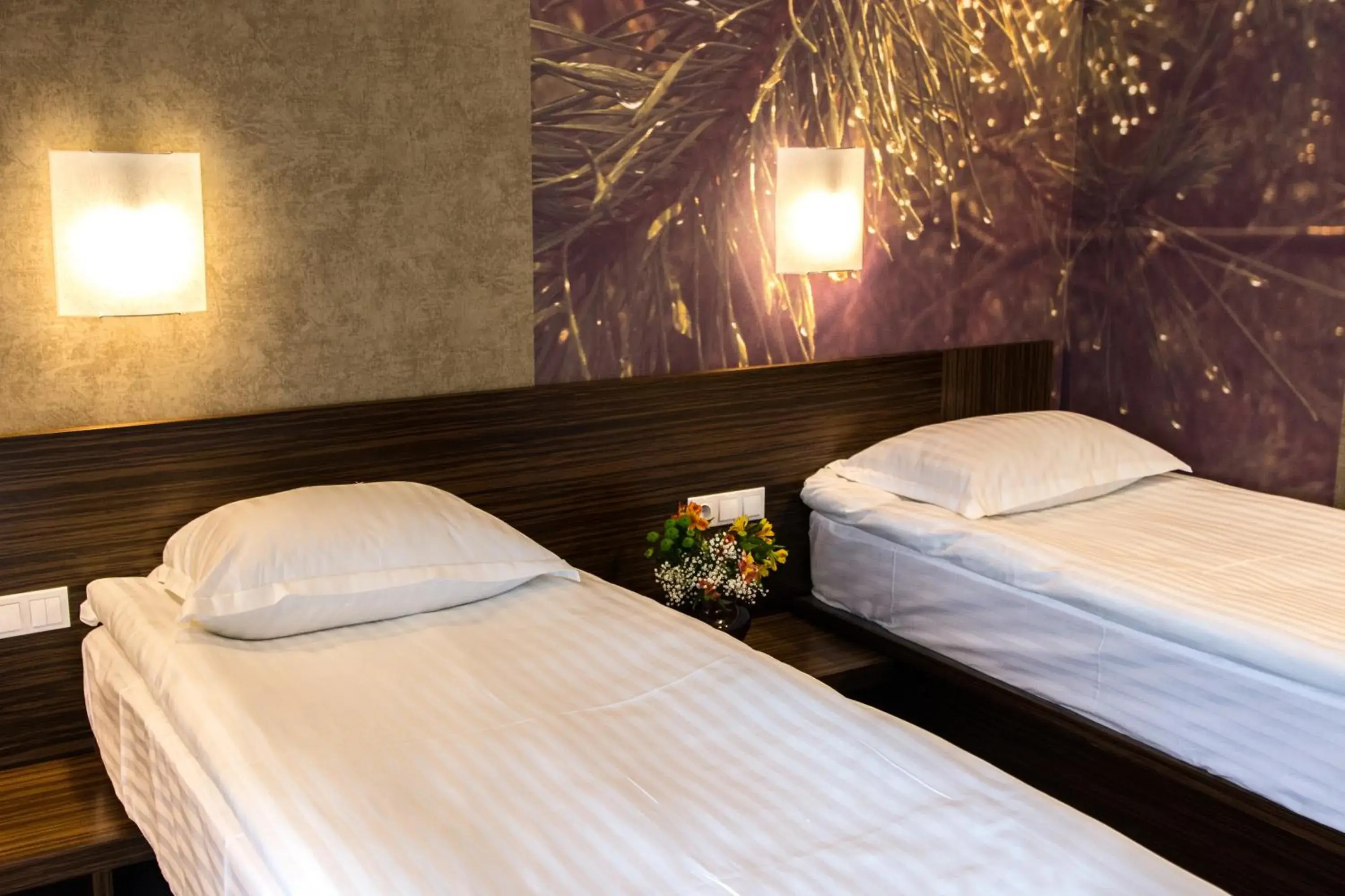 Twin Room in Kryve Ozero Twin Room in Kryve Ozero