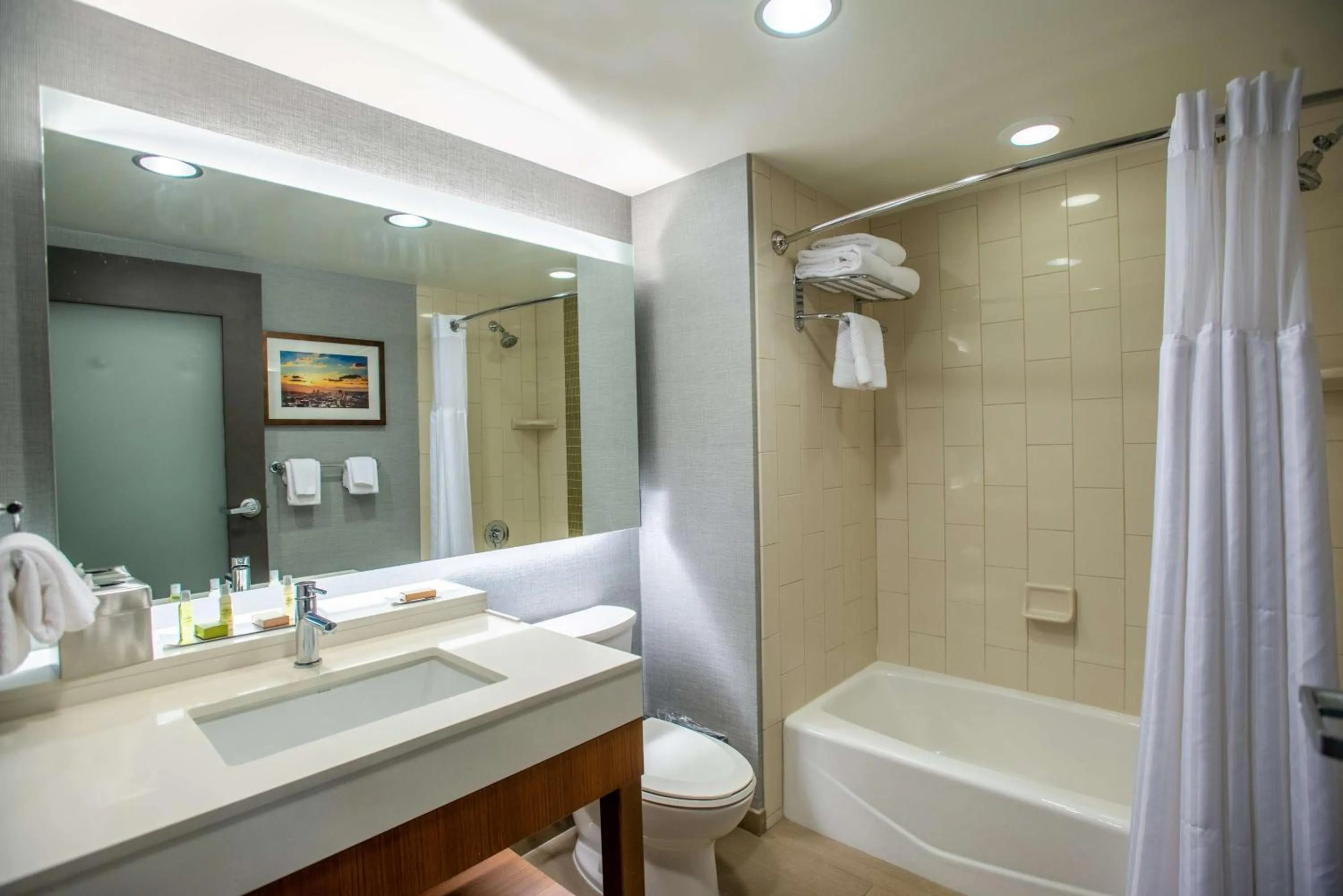 Bathroom in DoubleTree by Hilton Asheville Downtown