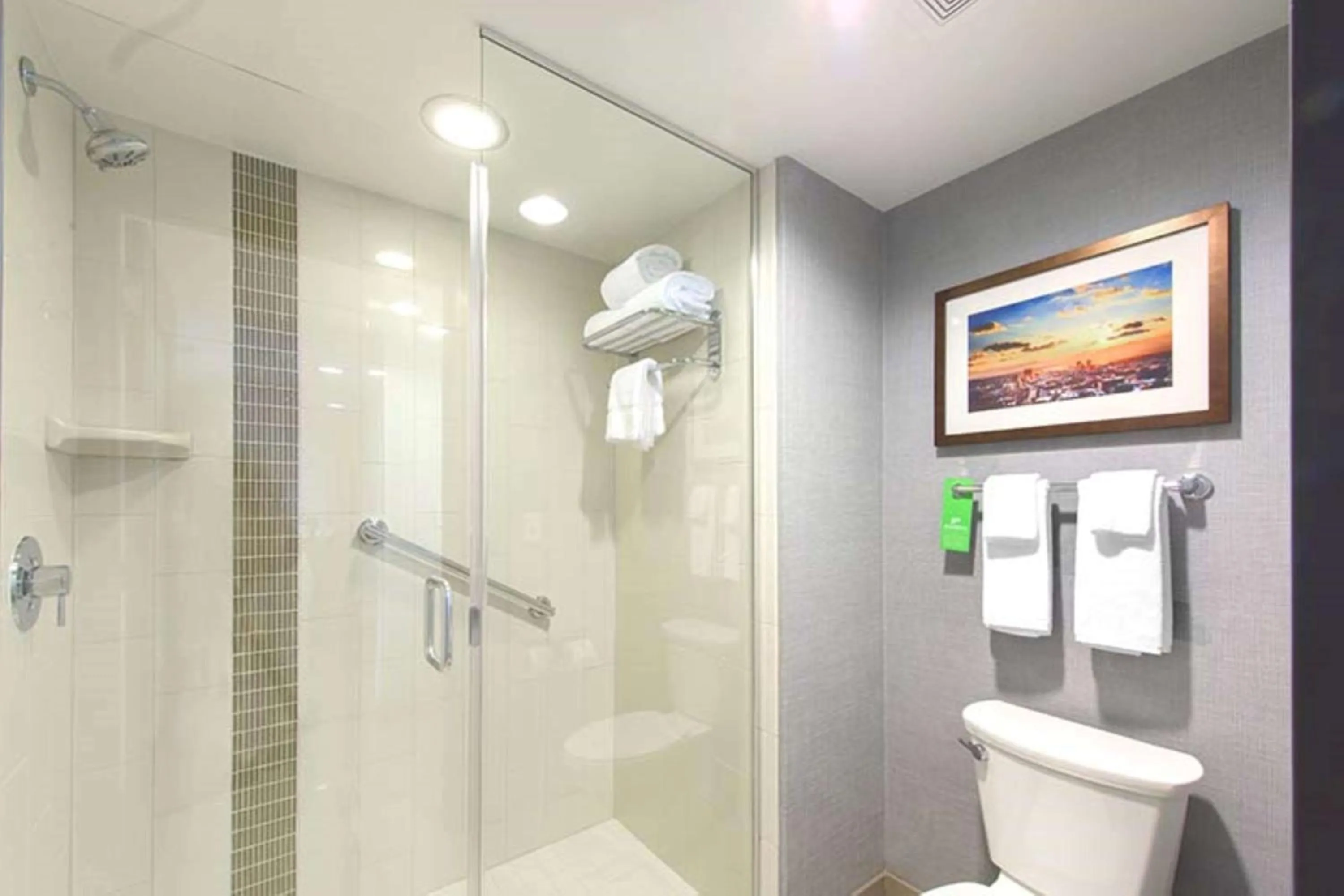 Bathroom in DoubleTree by Hilton Asheville Downtown