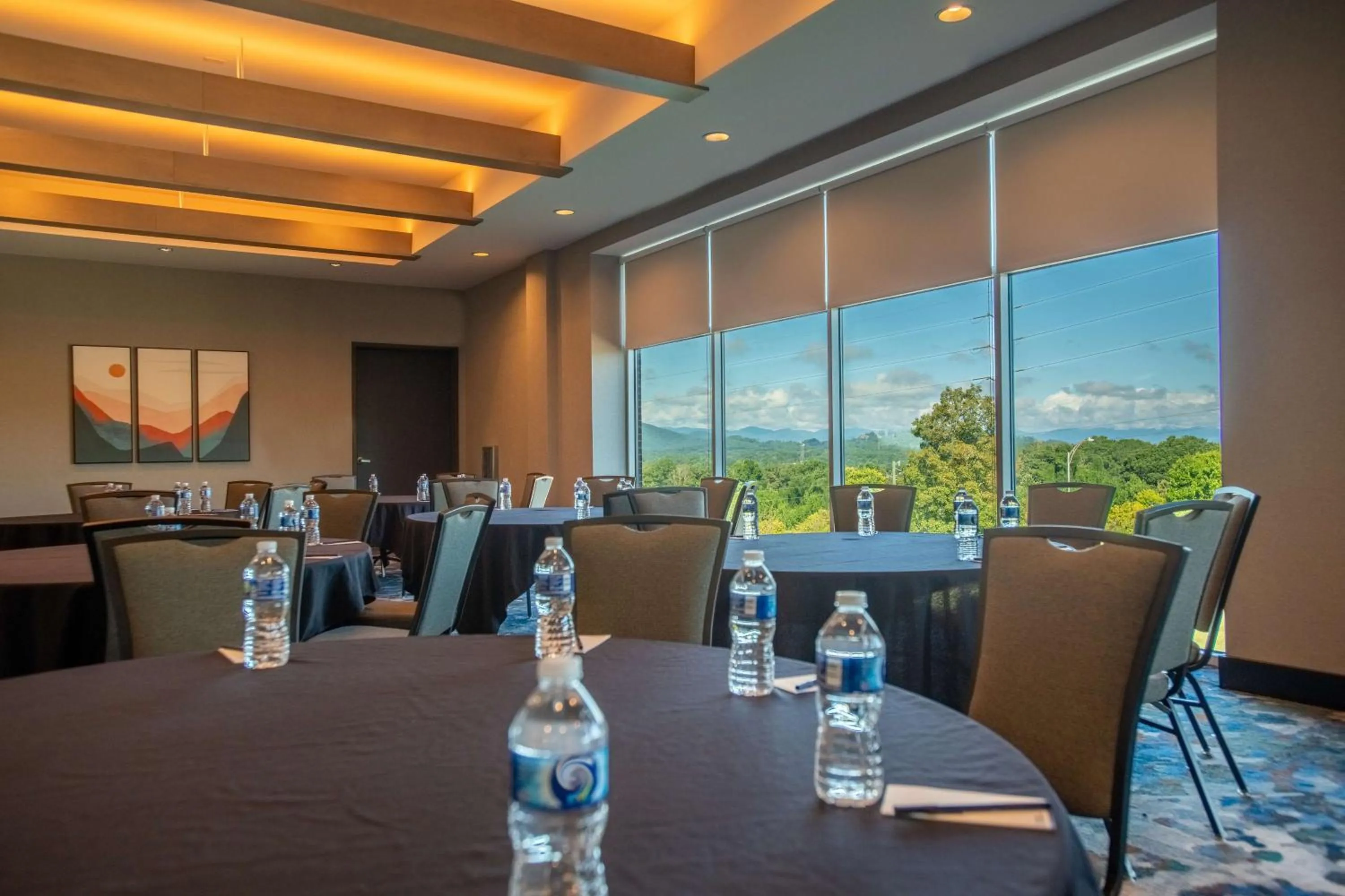 Meeting/conference room in DoubleTree by Hilton Asheville Downtown