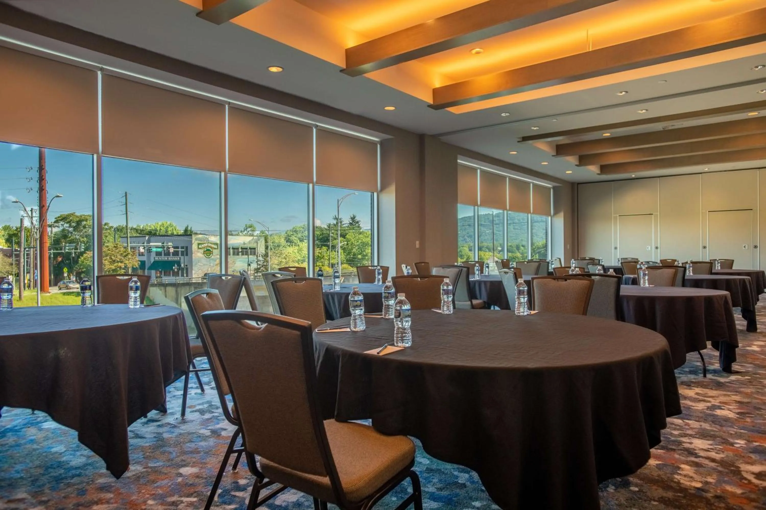 Meeting/conference room in DoubleTree by Hilton Asheville Downtown