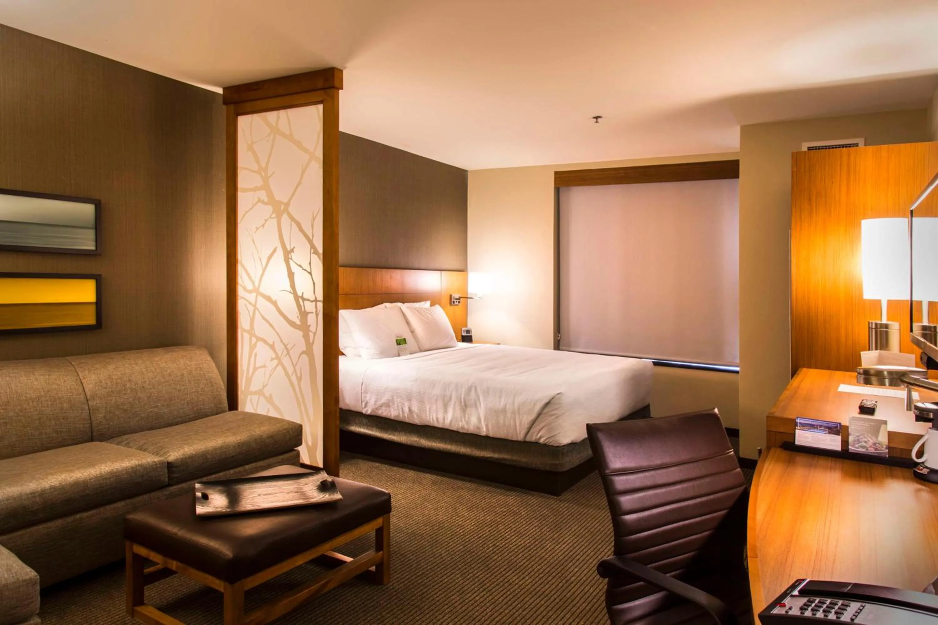 Photo of the whole room, Bed in Hyatt Place Charlottesville