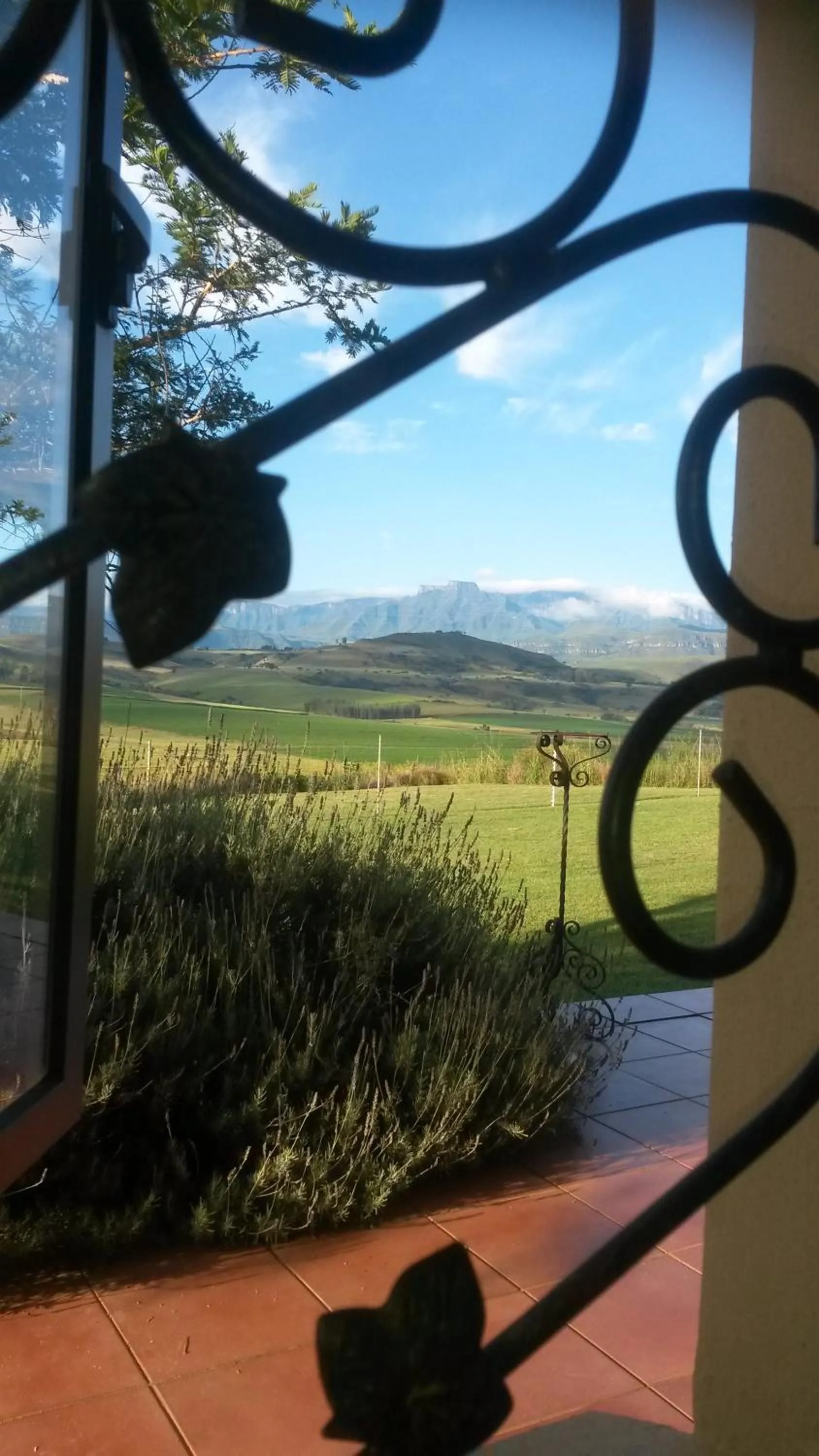 Day in River Crossing