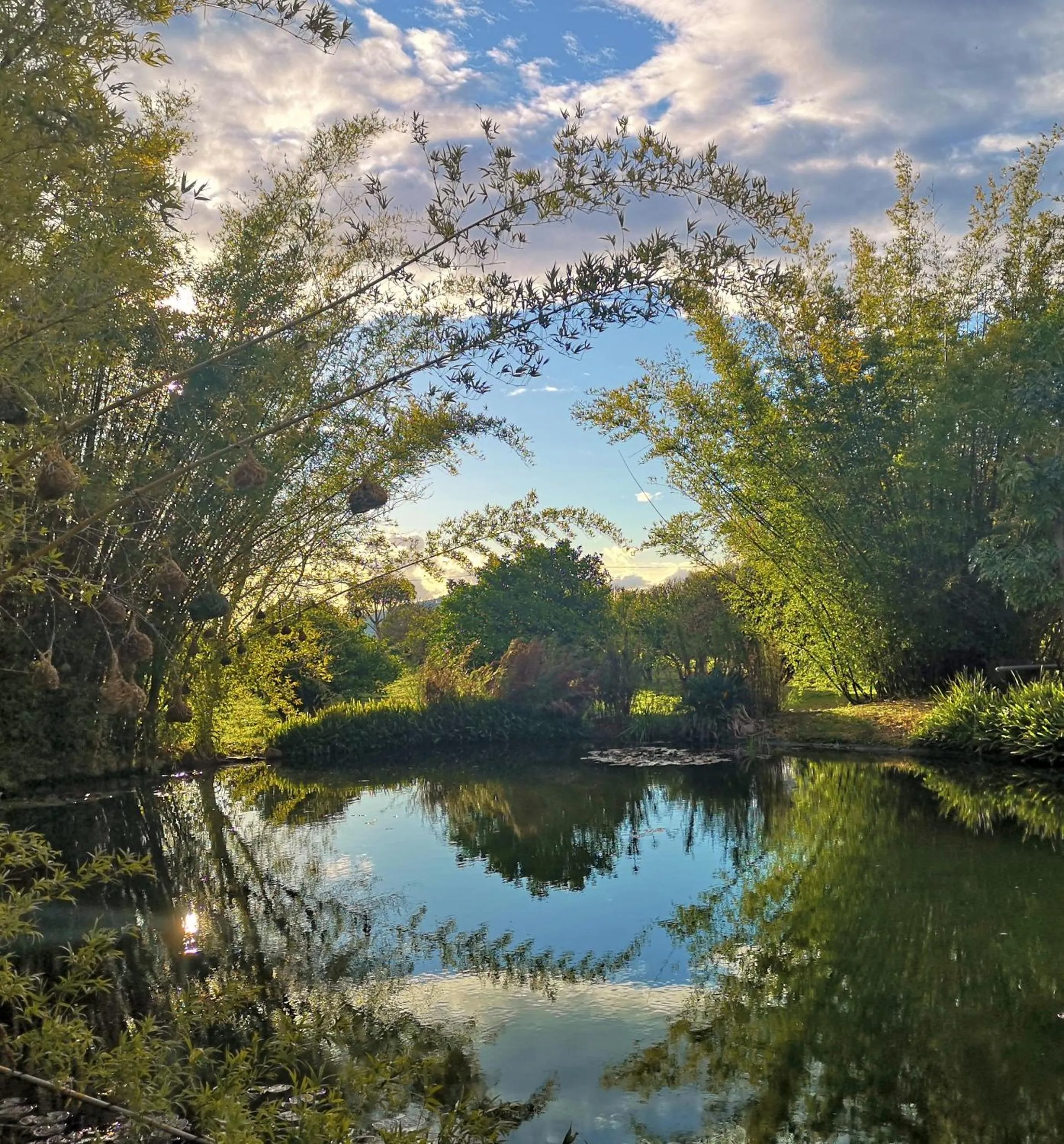 Natural landscape in Val d'Or Estate
