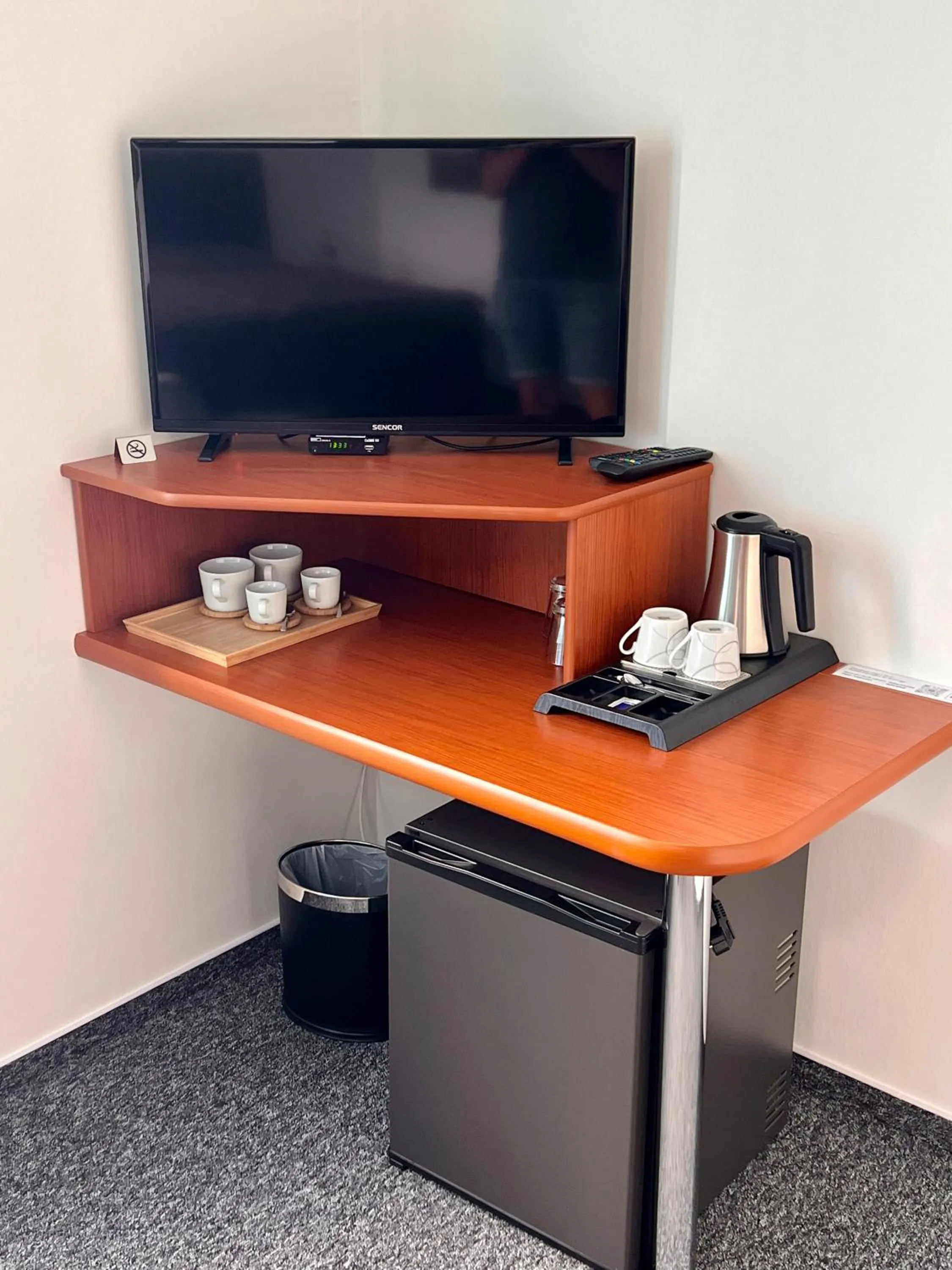 TV and multimedia in Hotel CAVOK letiště Příbram