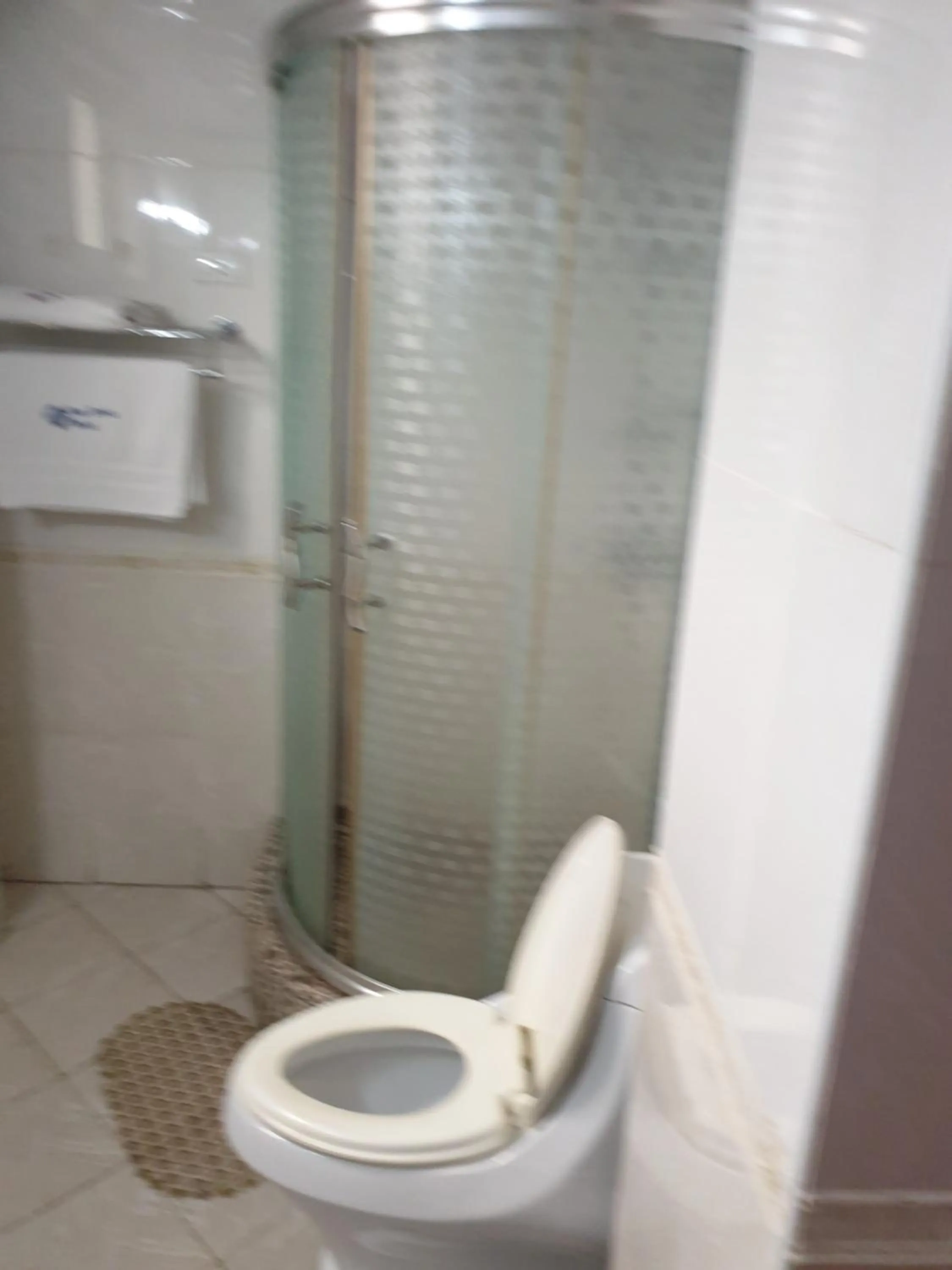 Blue Birds International Hotel