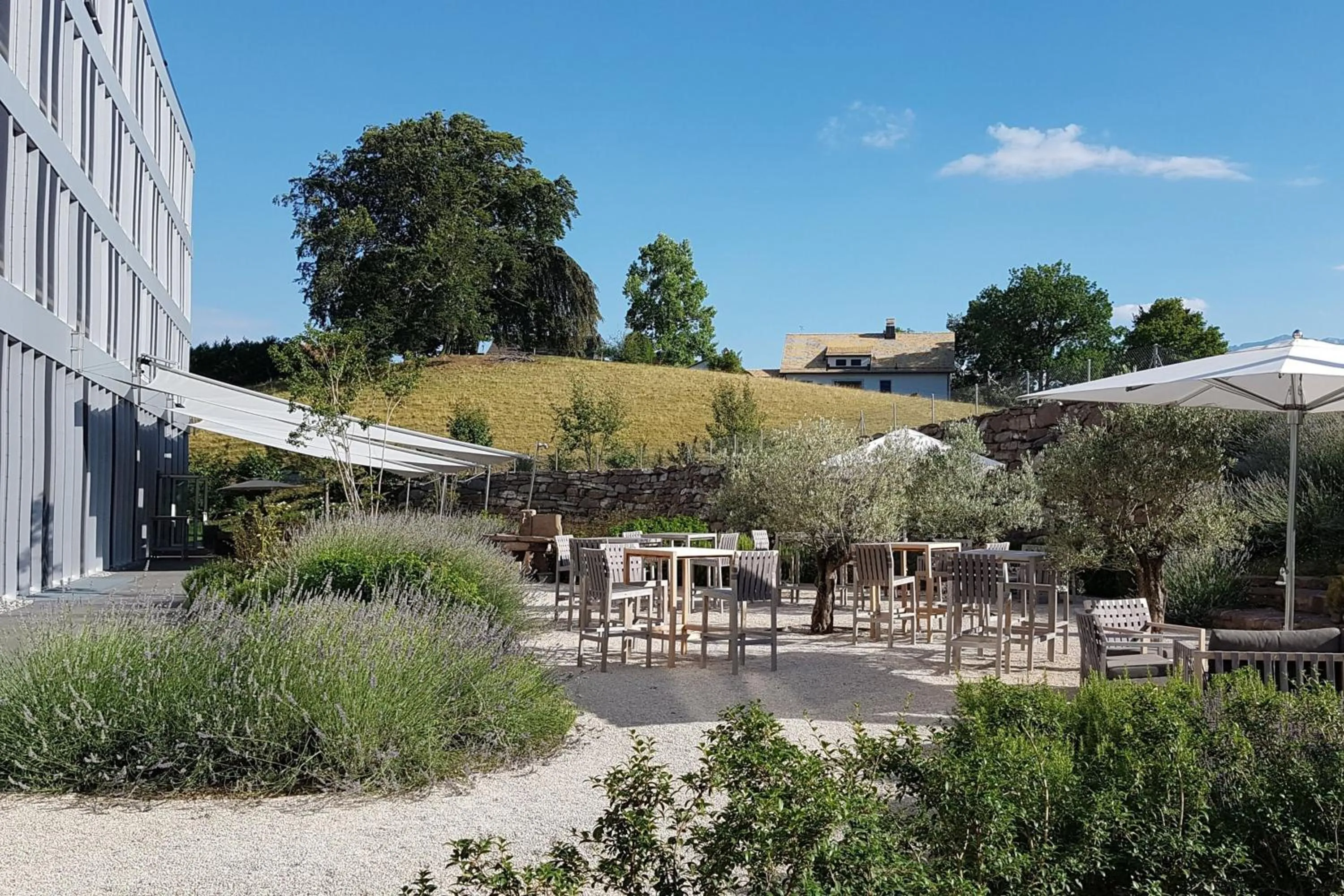 Other in Modern Times Hotel, Vevey, A Tribute Portfolio Hotel