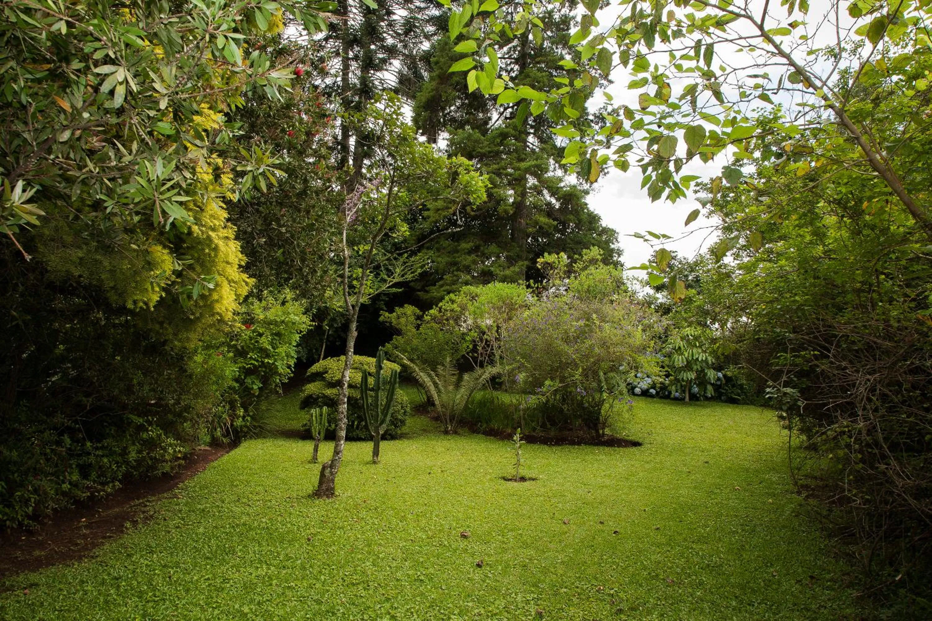 Garden in York House Guest House