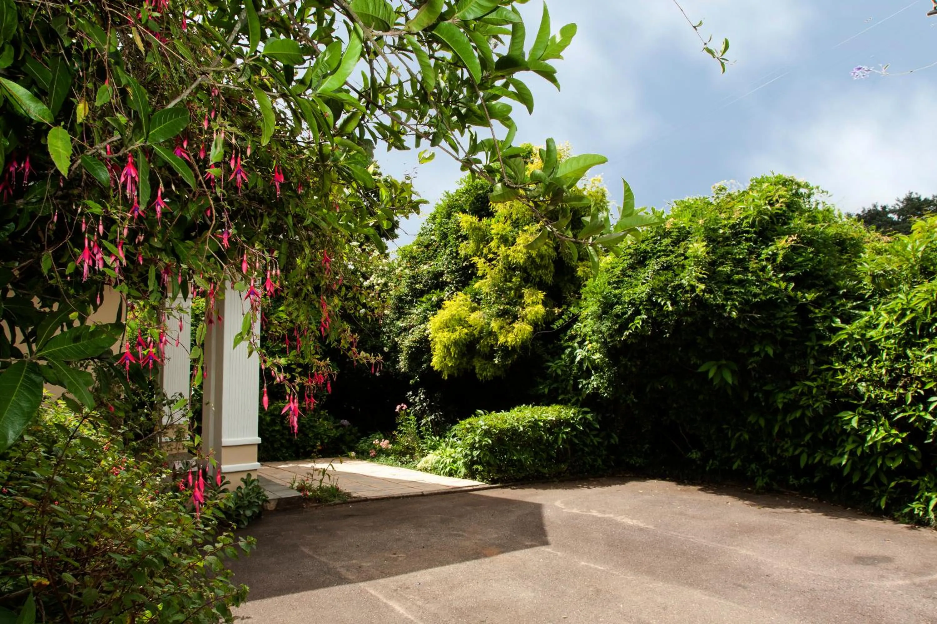 Garden in York House Guest House