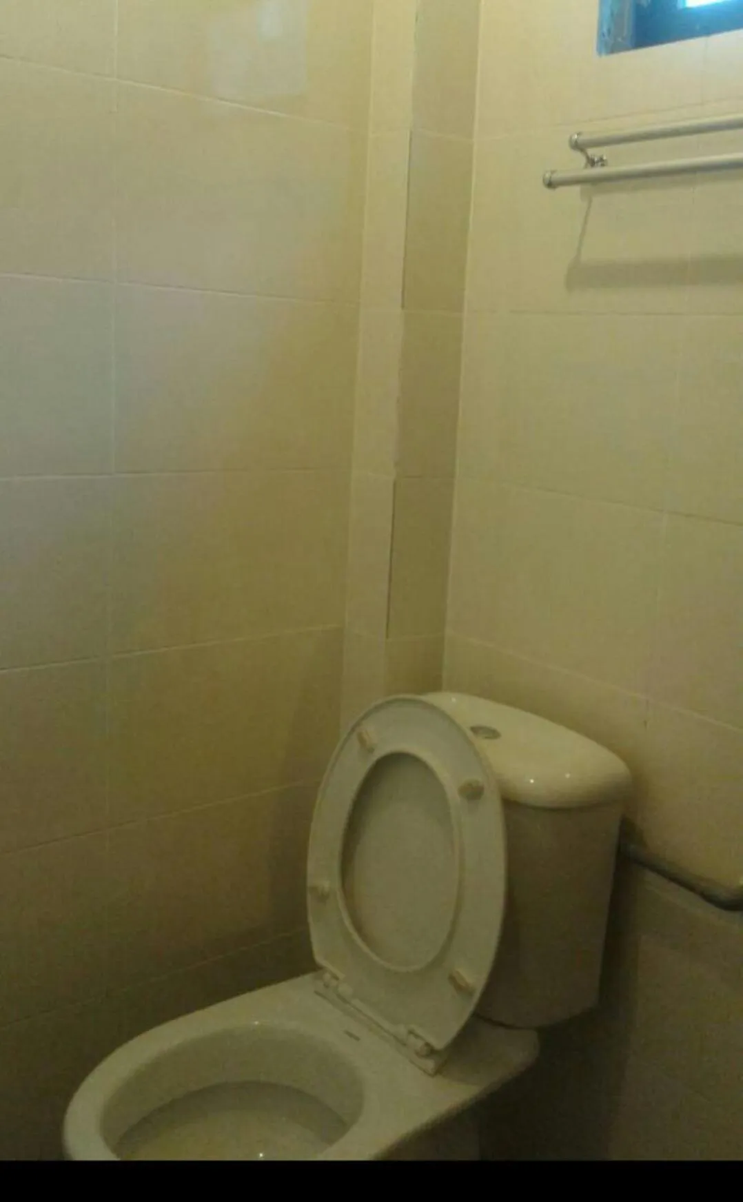 Toilet in Joe Fisherman Inn