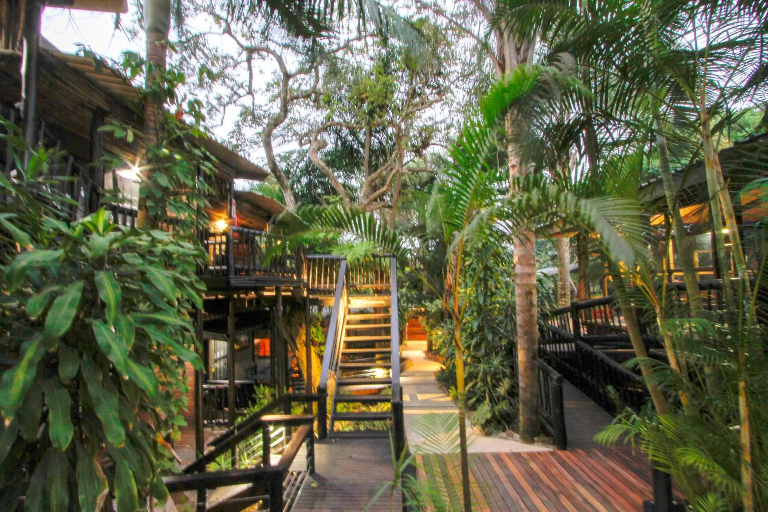 Garden view in Umlilo Guest House