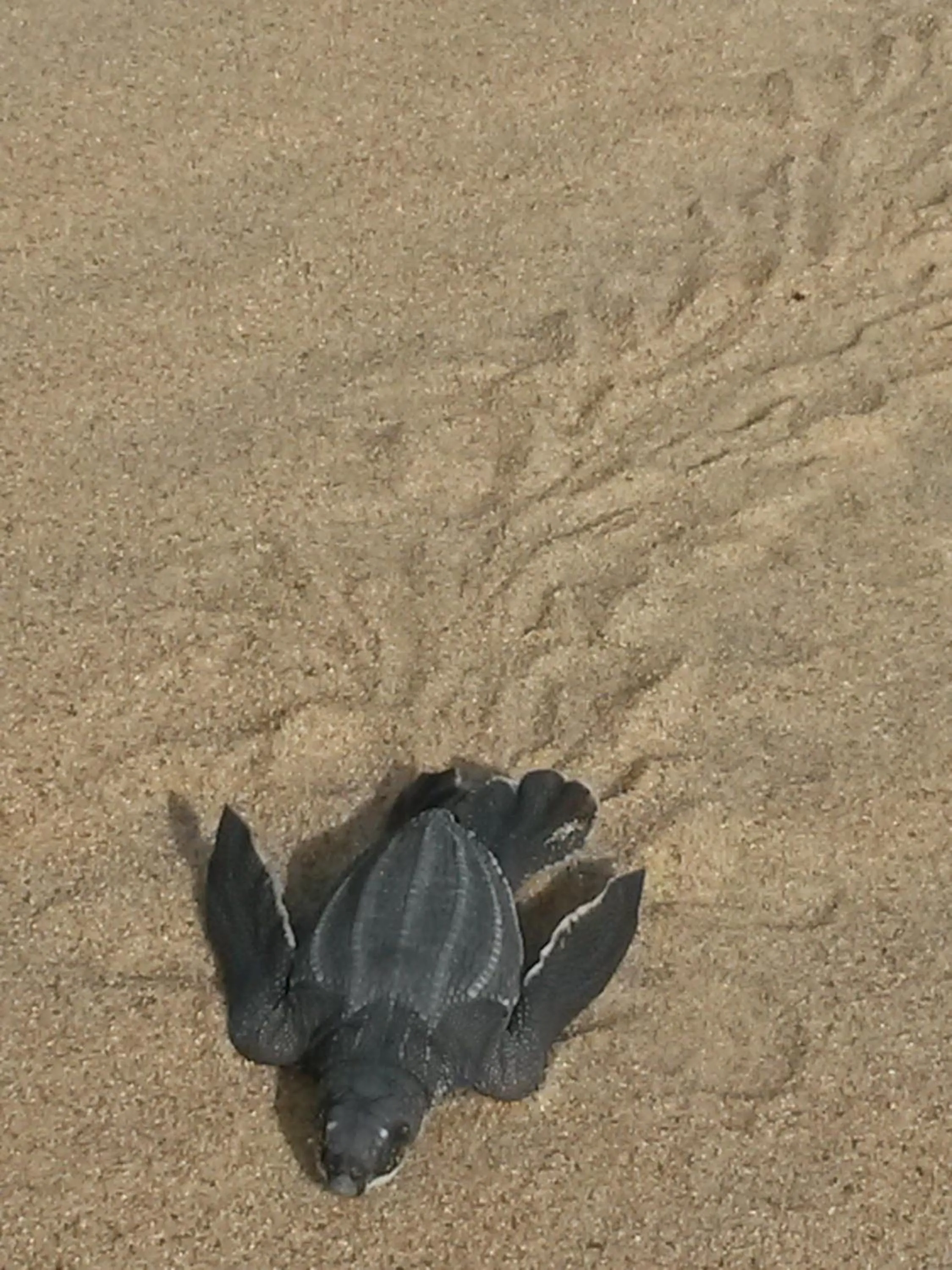 Natural landscape in Umlilo Guest House