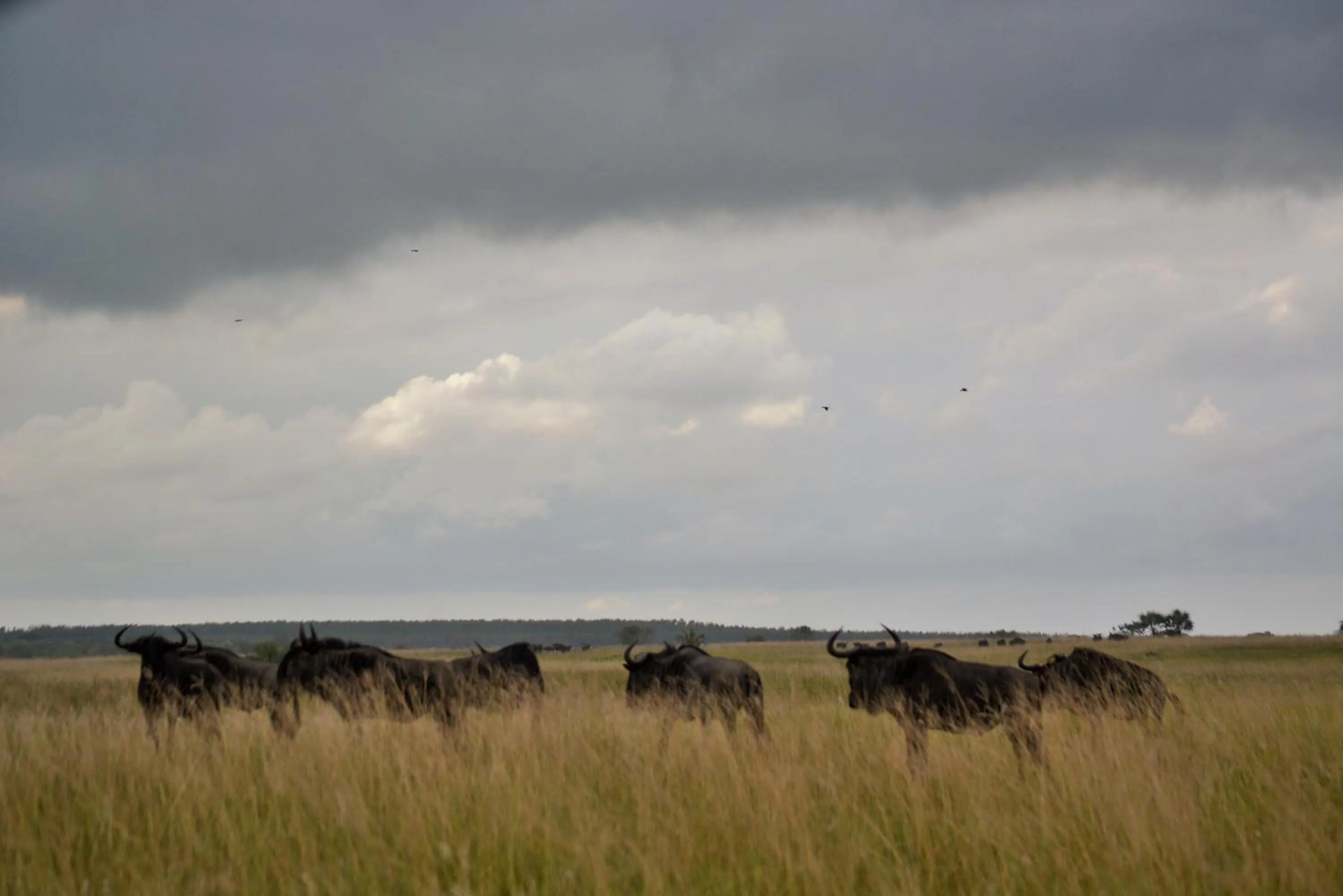 Nearby landmark in Umlilo Guest House