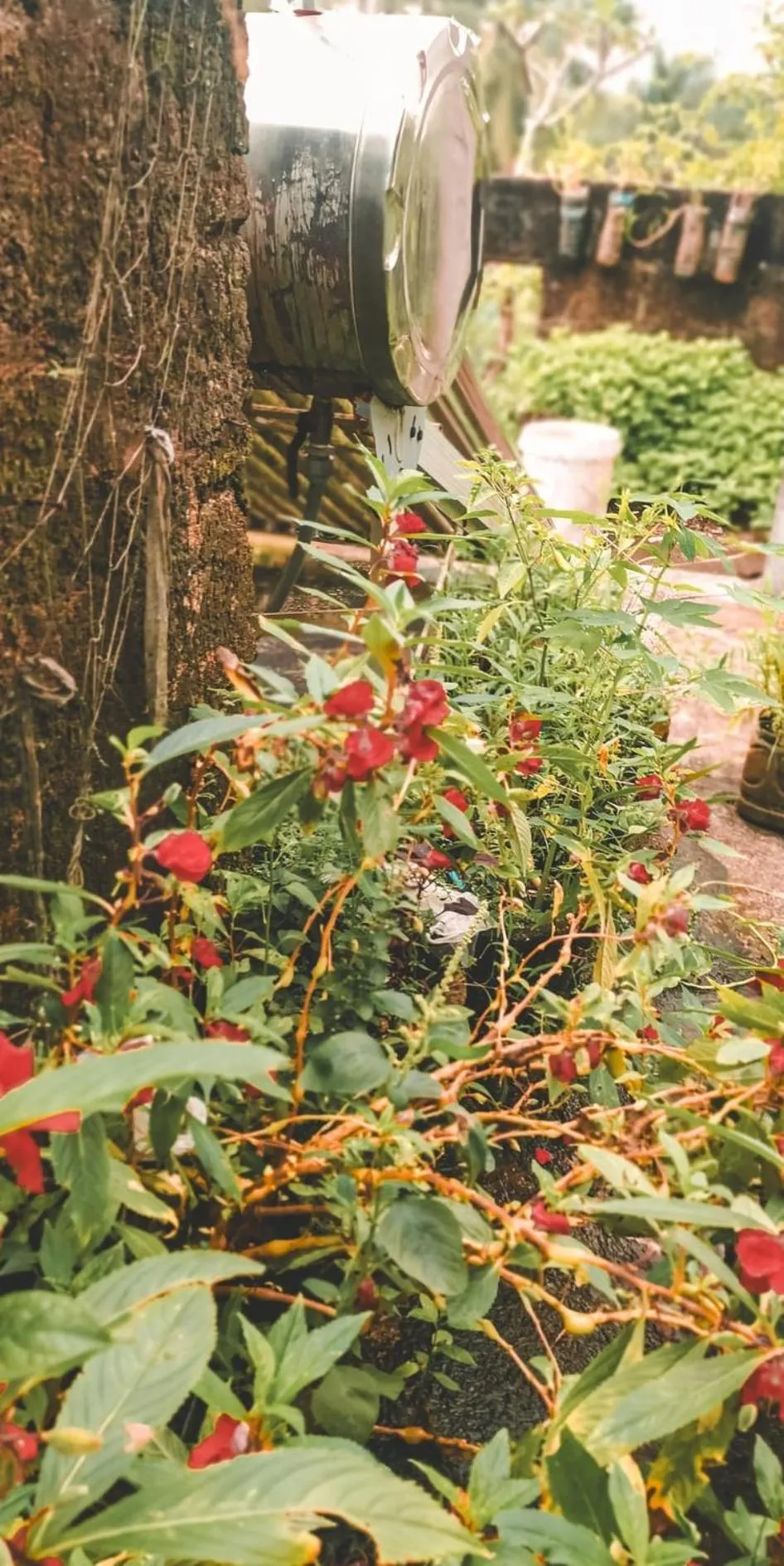 Weligama Bay Eco Villa