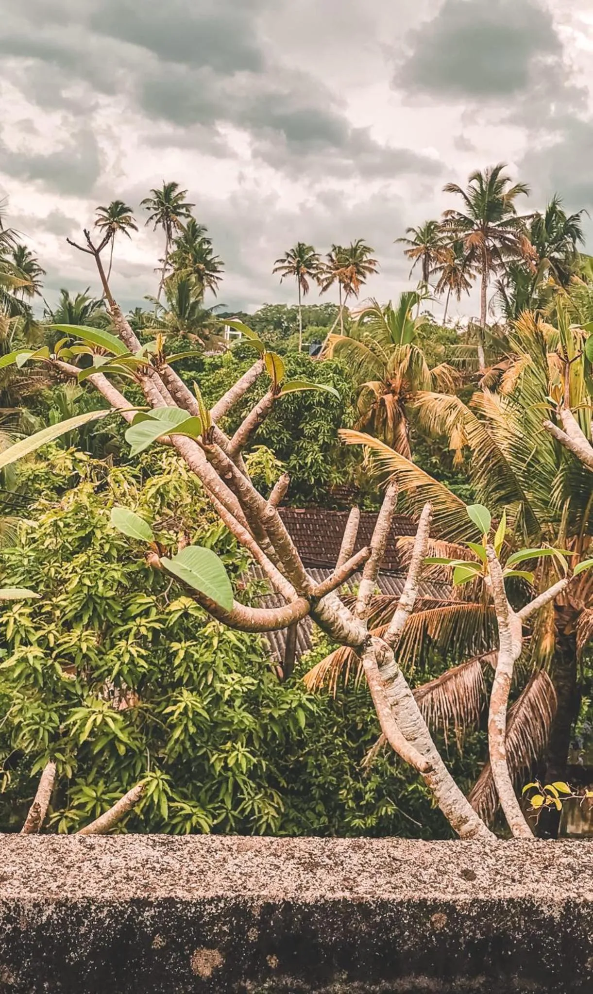 Weligama Bay Eco Villa
