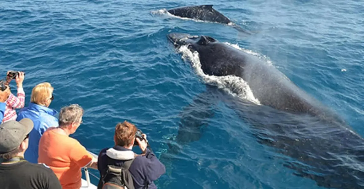 Weligama Bay Eco Villa