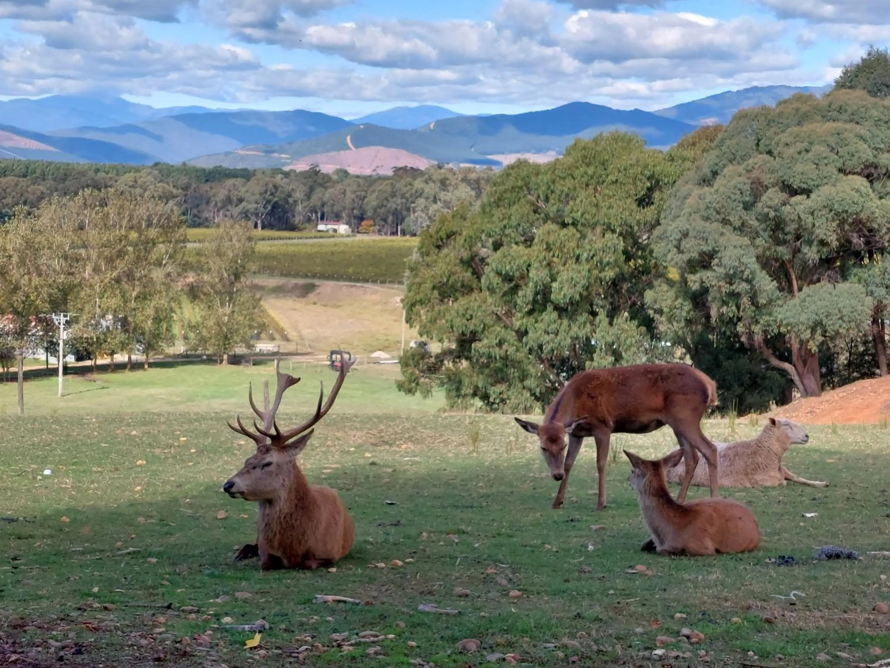 Activities in Restaway Holiday Units