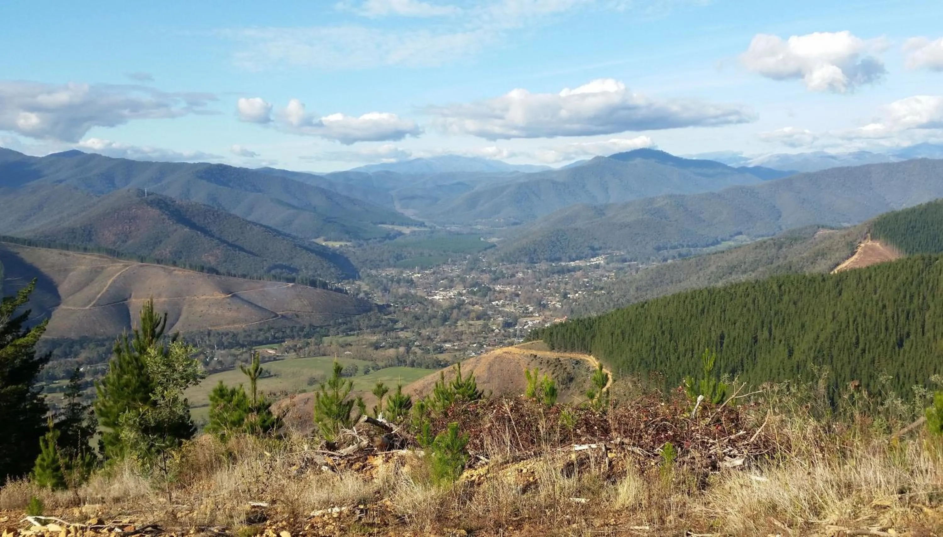 Natural landscape in Restaway Holiday Units