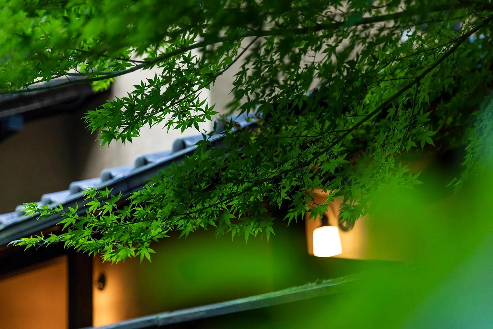 Property building in Yufuin Yufusaryo