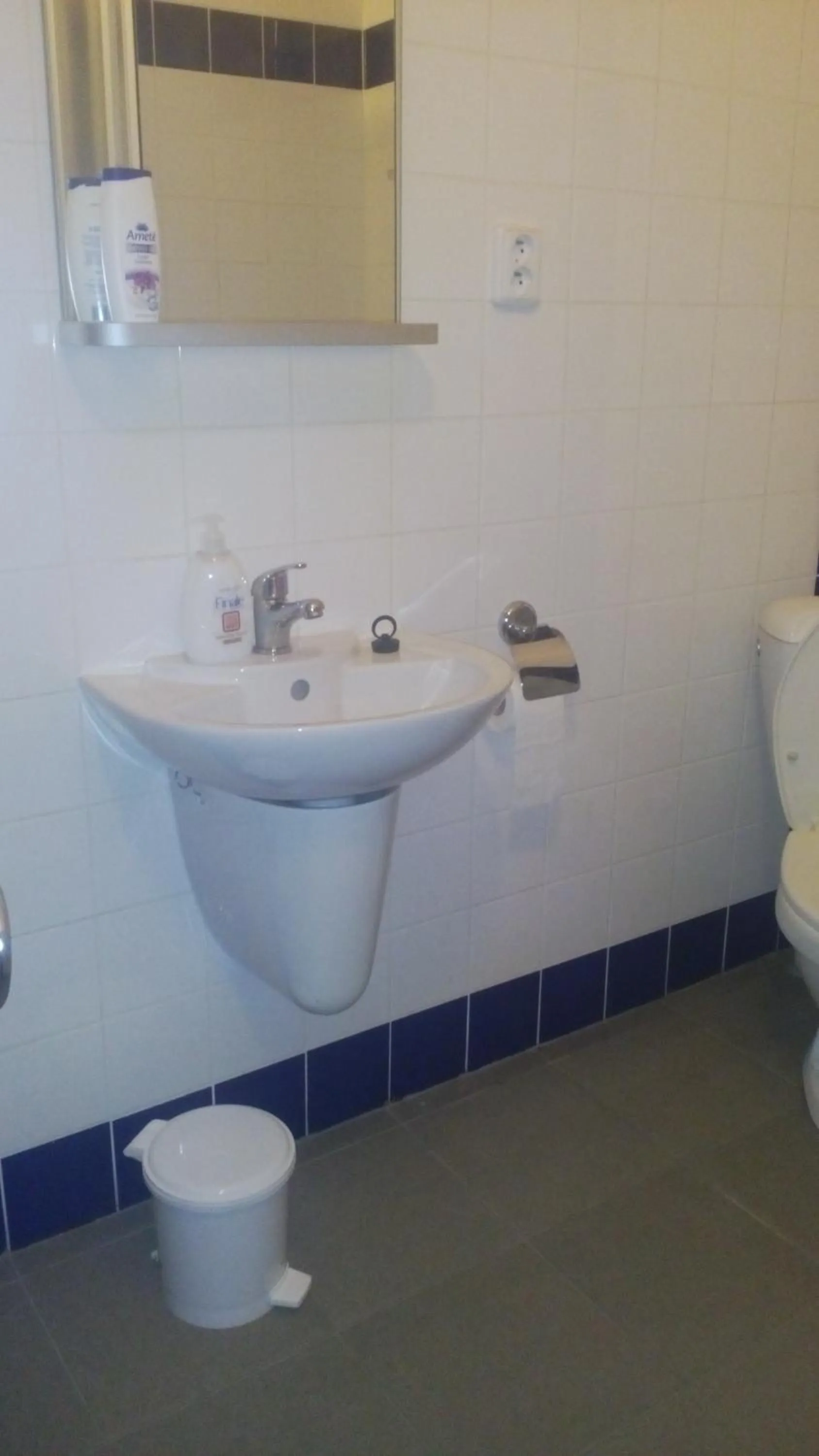 Bathroom in Hotel Britz