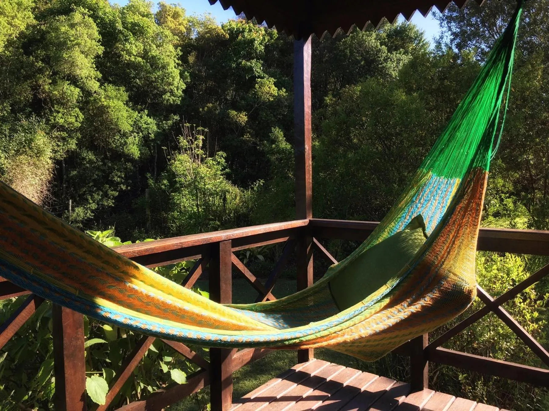 View (from property/room) in Forest Edge