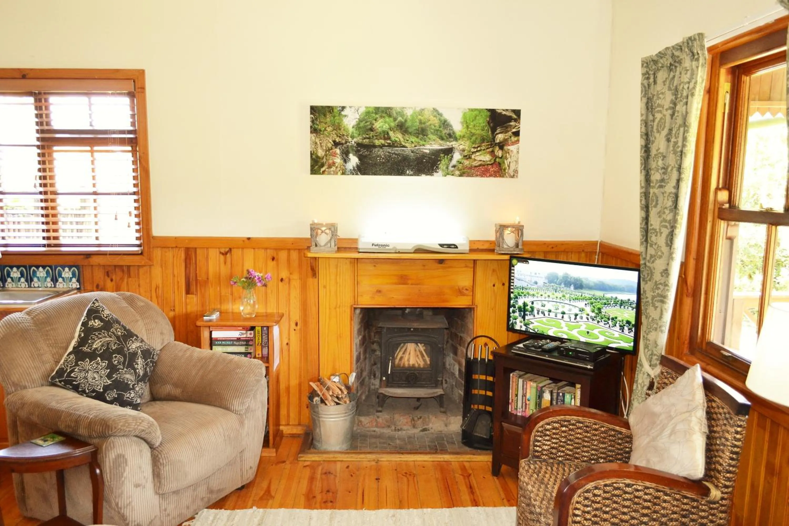 TV and multimedia in Forest Edge