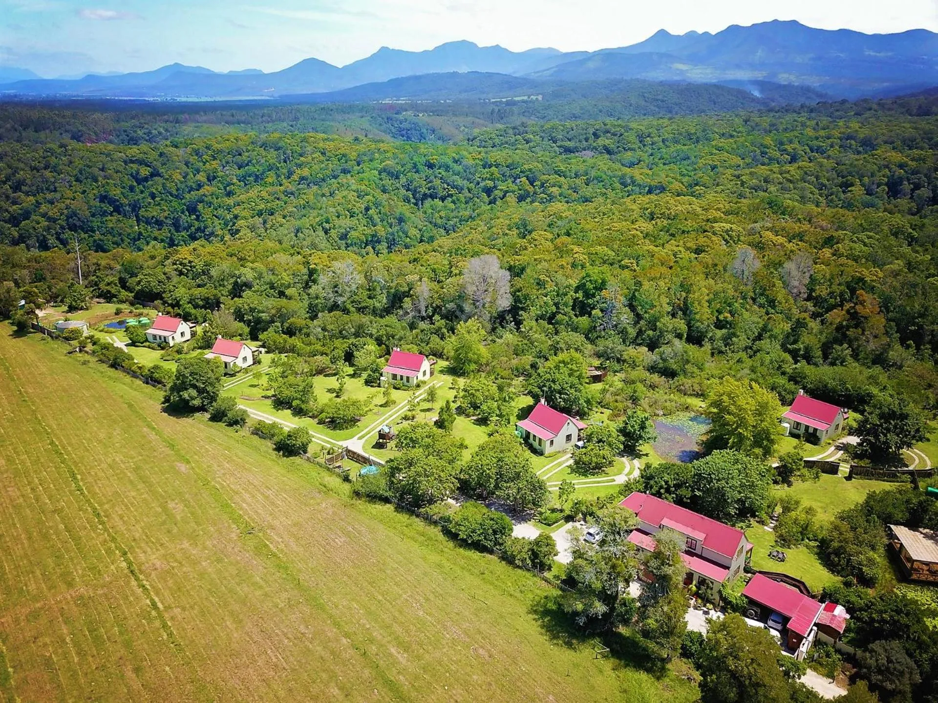 Bird's eye view in Forest Edge