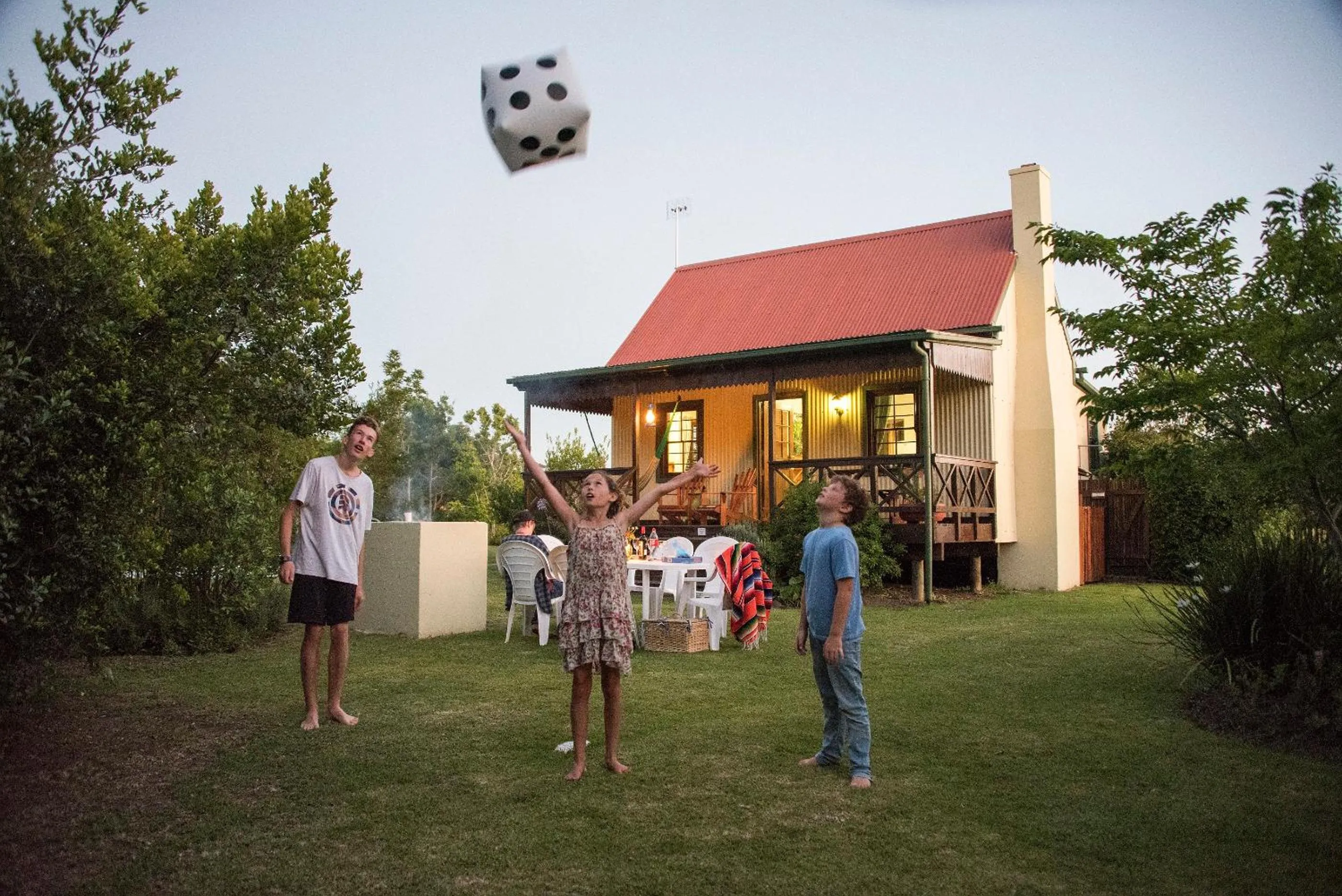 Summer in Forest Edge