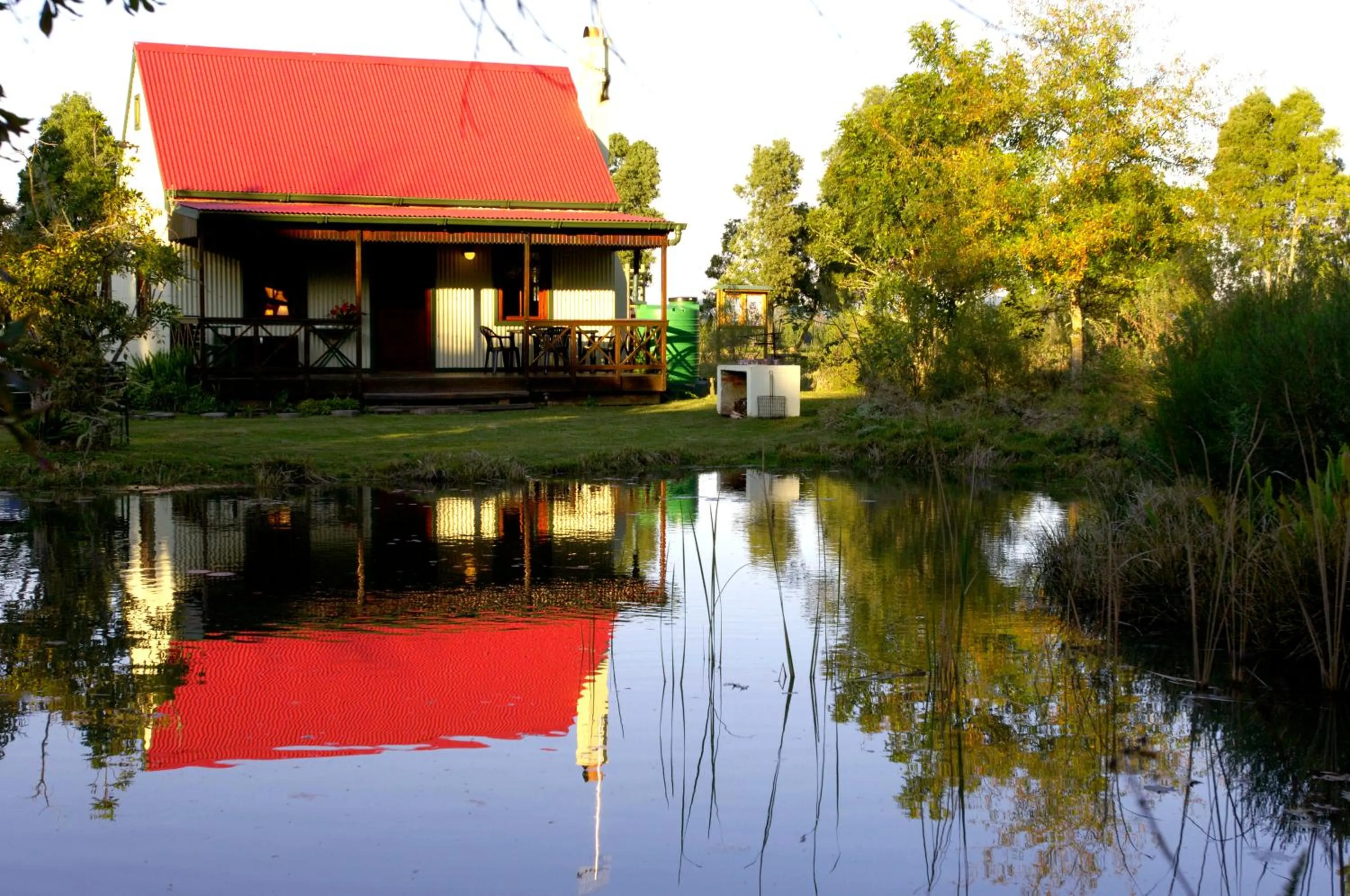 Garden in Forest Edge