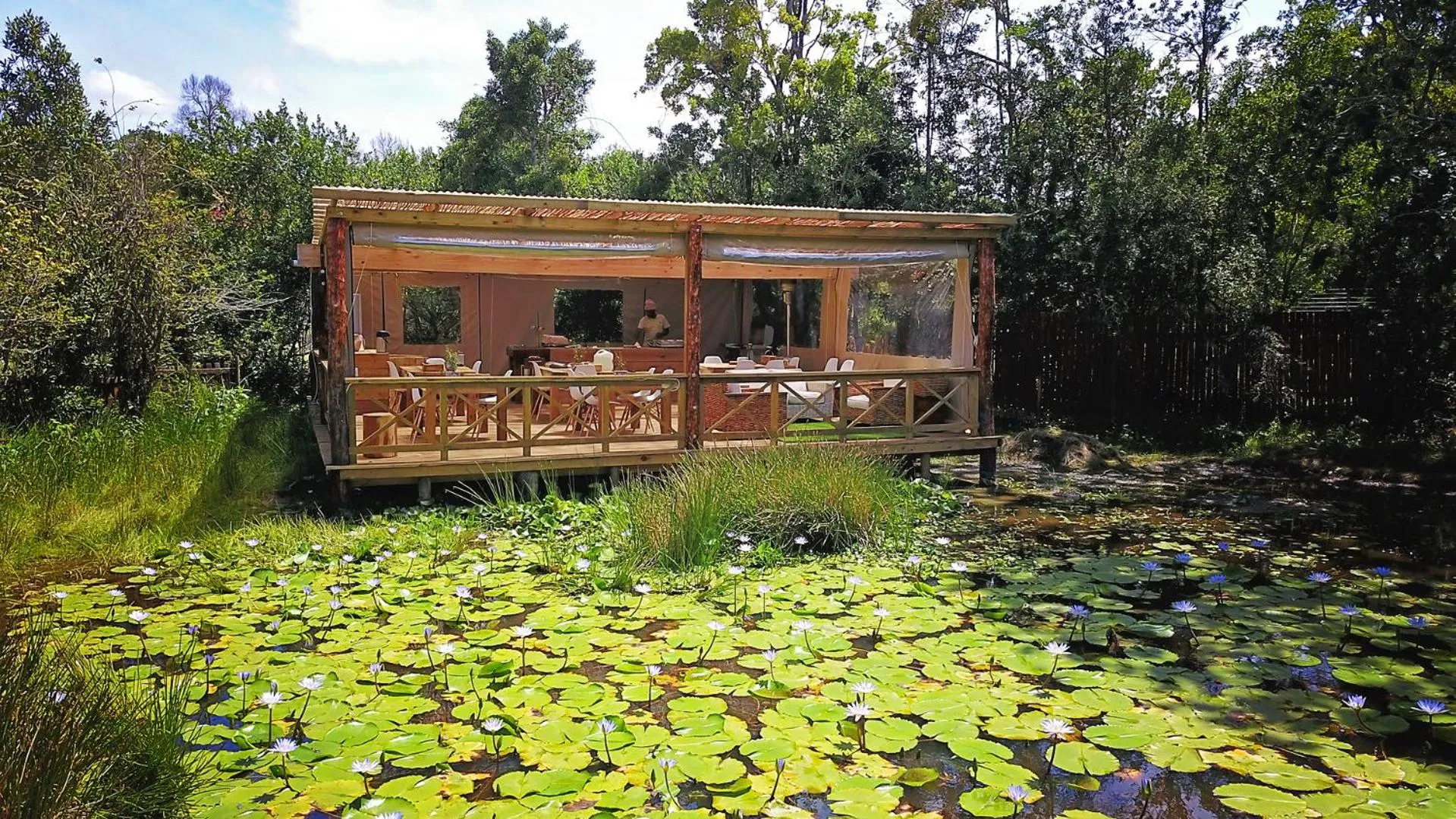 Property building in Forest Edge