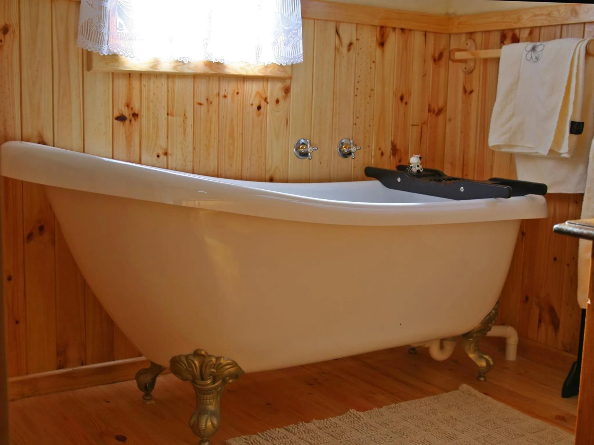 Bathroom in Forest Edge