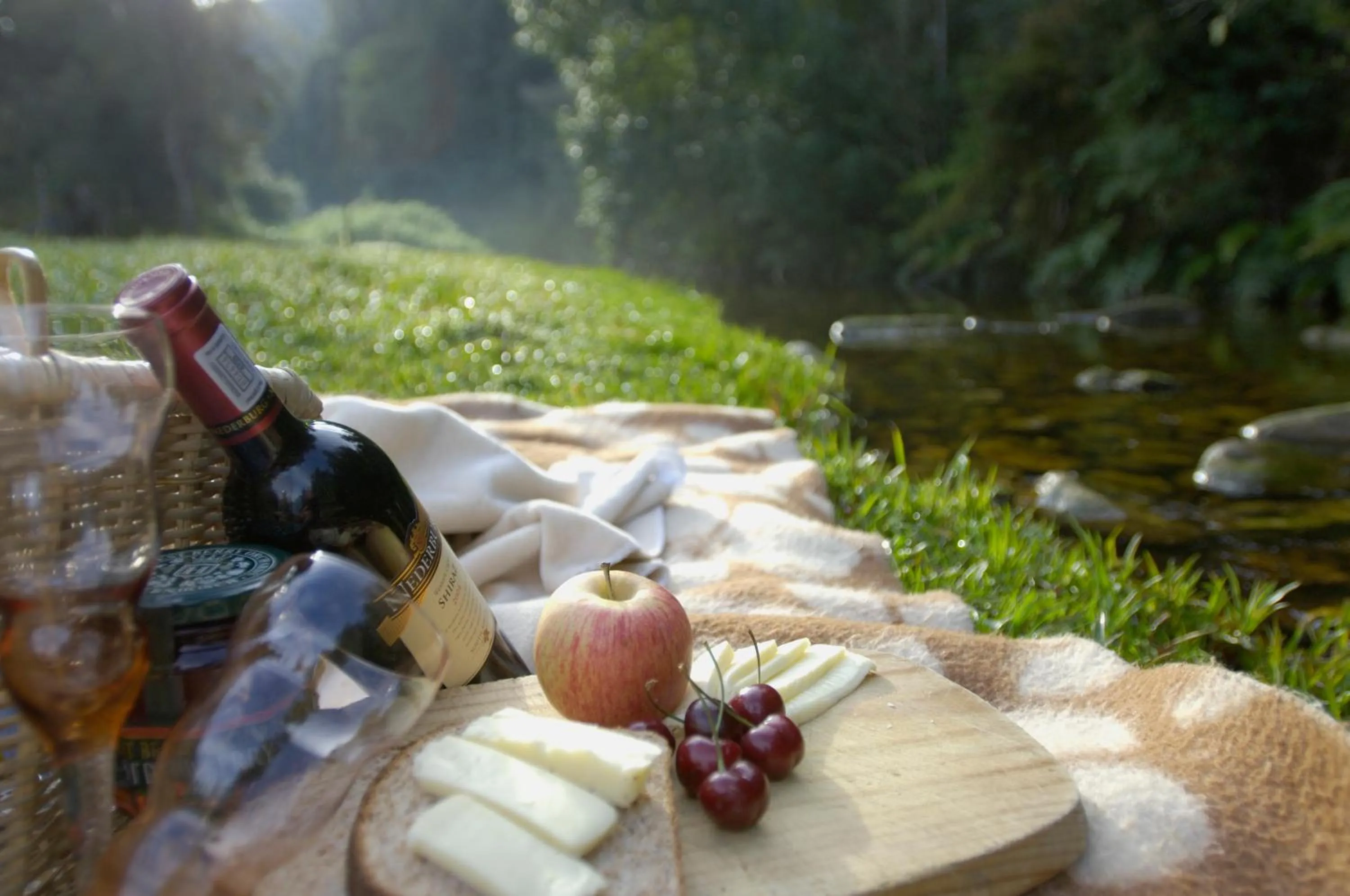Natural landscape in Forest Edge