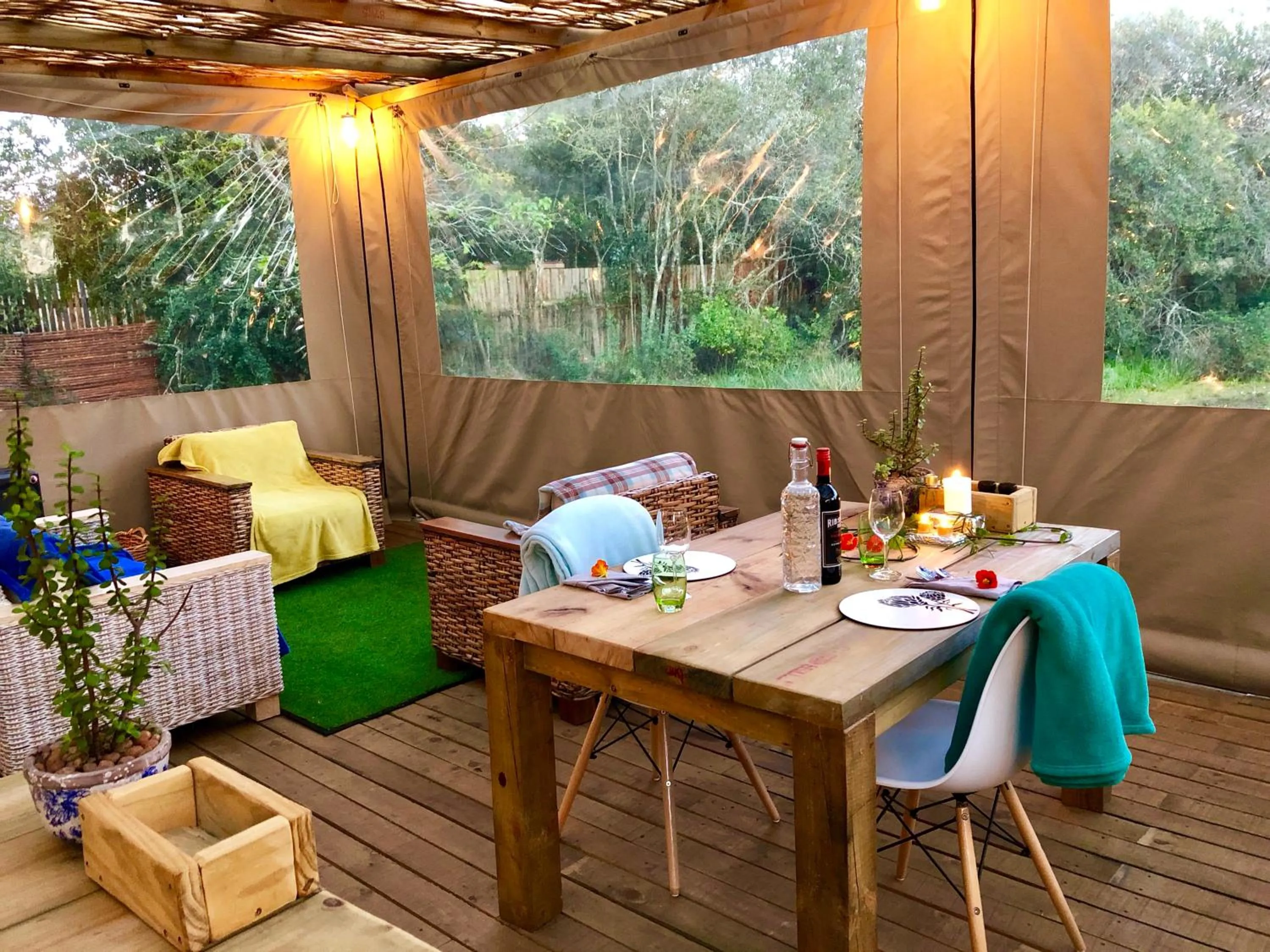 Dinner in Forest Edge