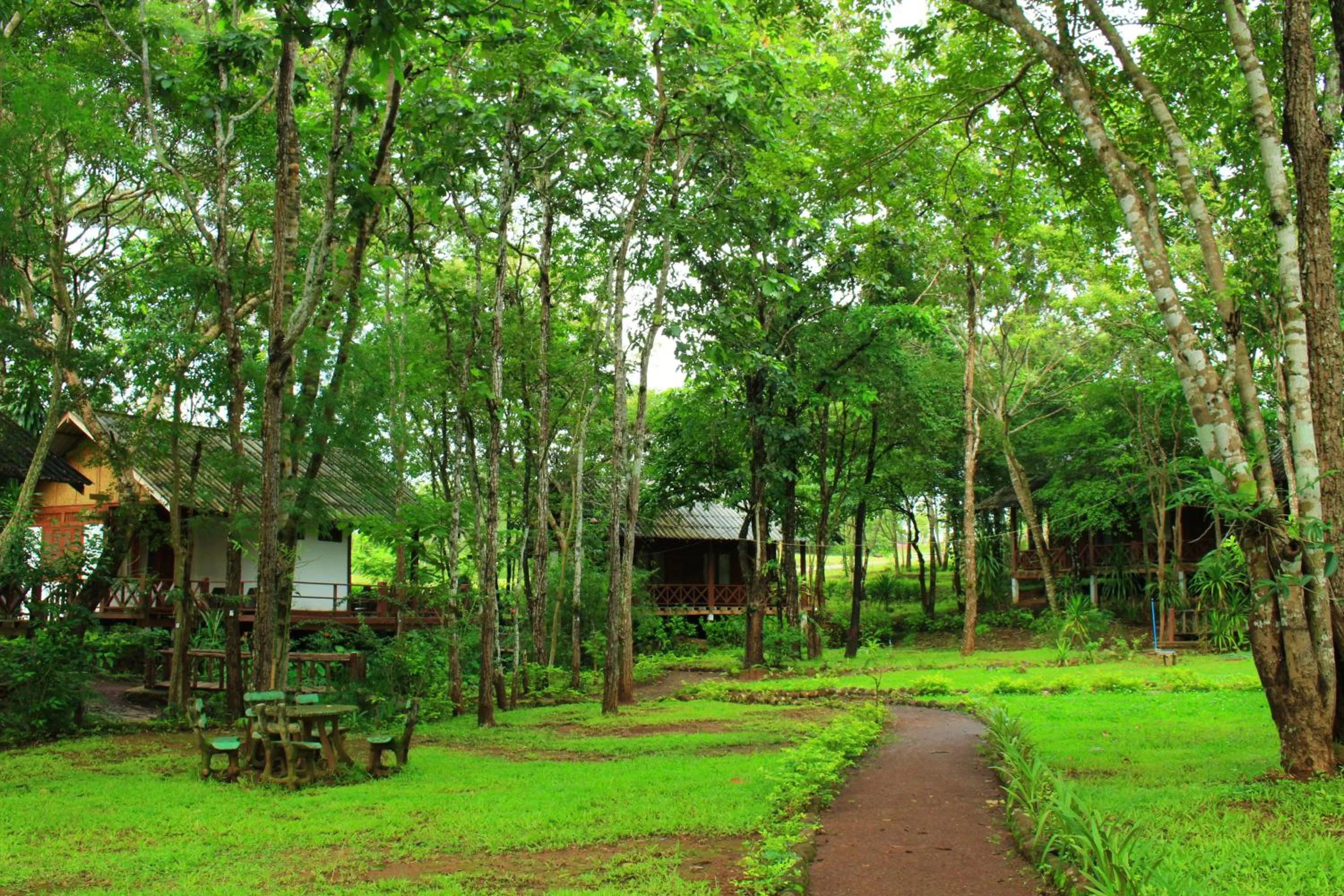 Garden view in Tadlo Lodge