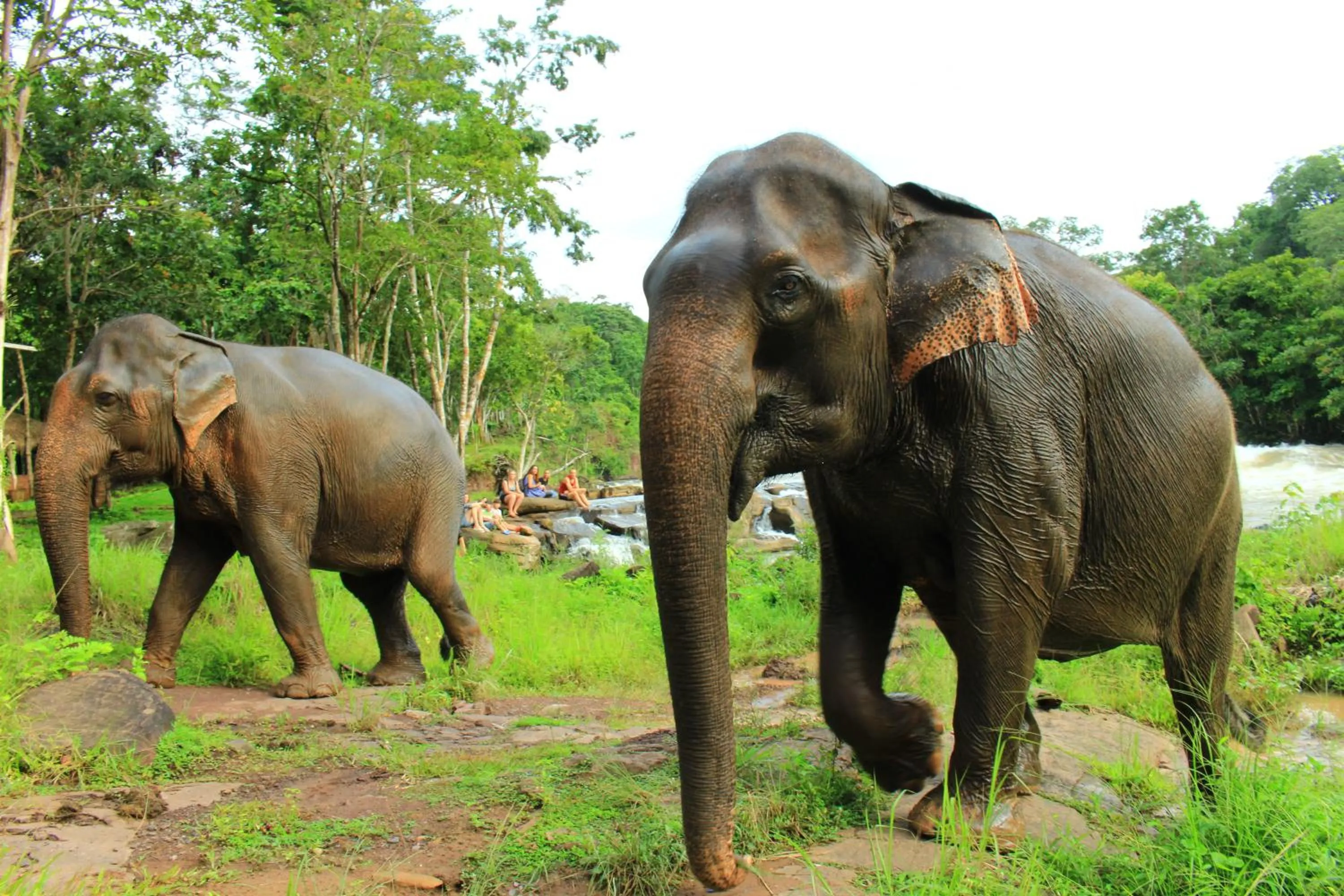 Animals in Tadlo Lodge