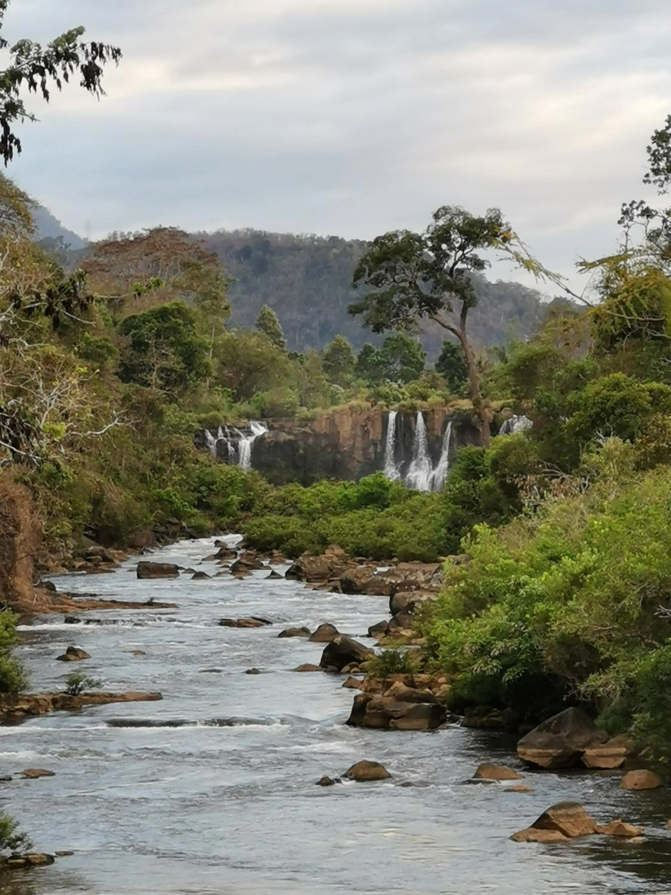 Neighbourhood in Tadlo Lodge