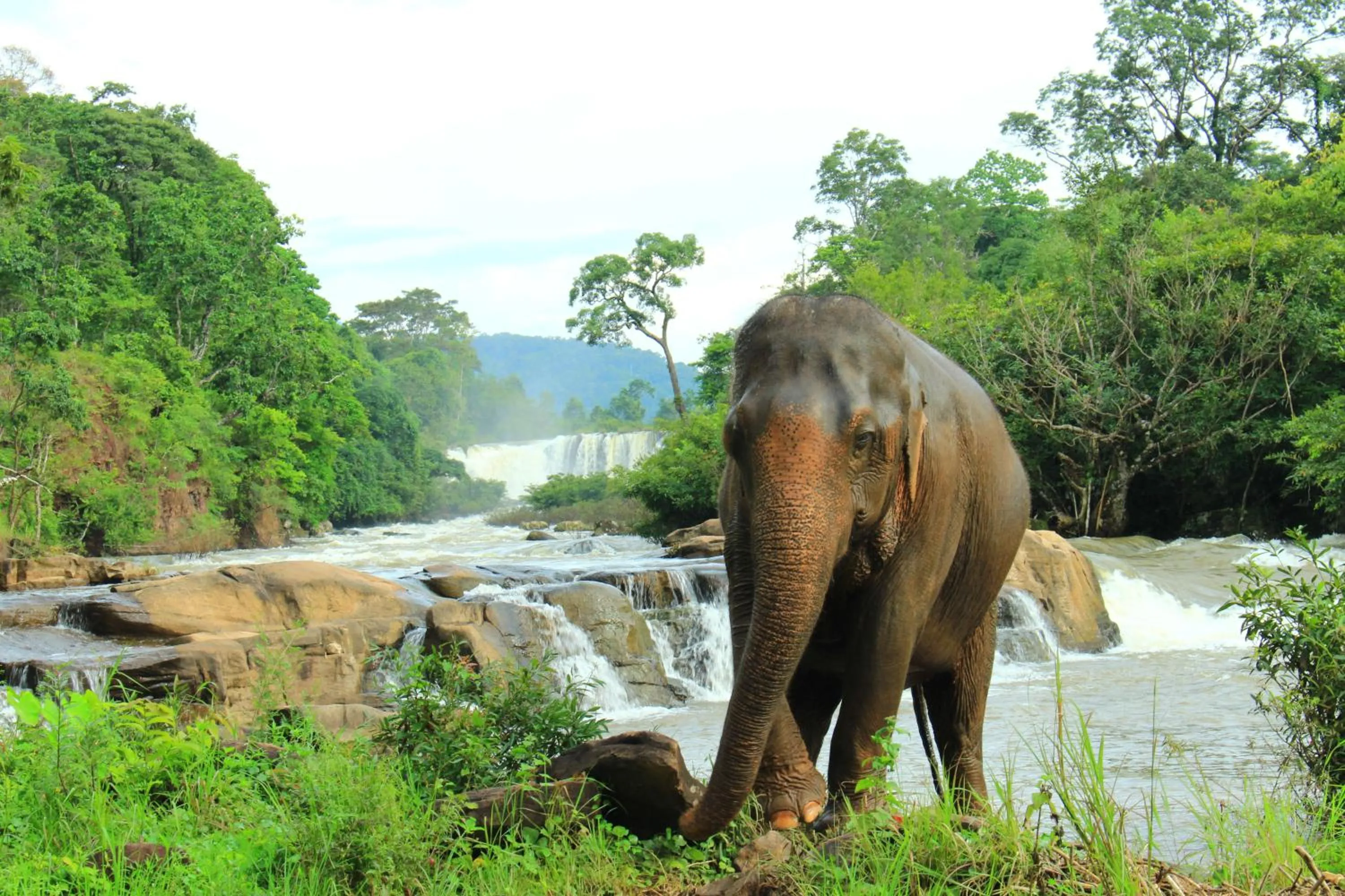 Natural landscape in Tadlo Lodge