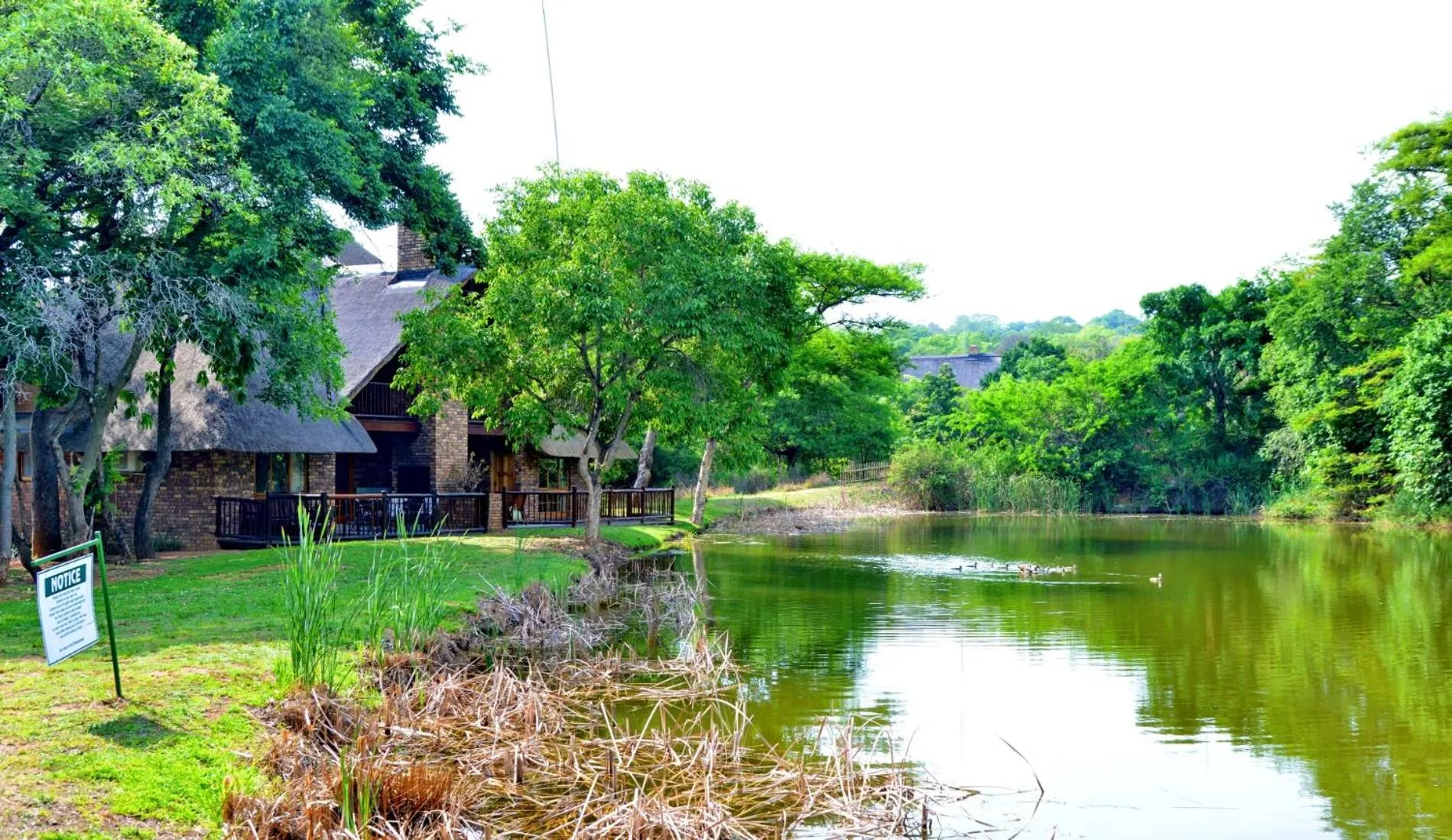 Natural landscape in Cambalala - Luxury Units - in Kruger Park Lodge - Serviced Daily, Free Wi-Fi