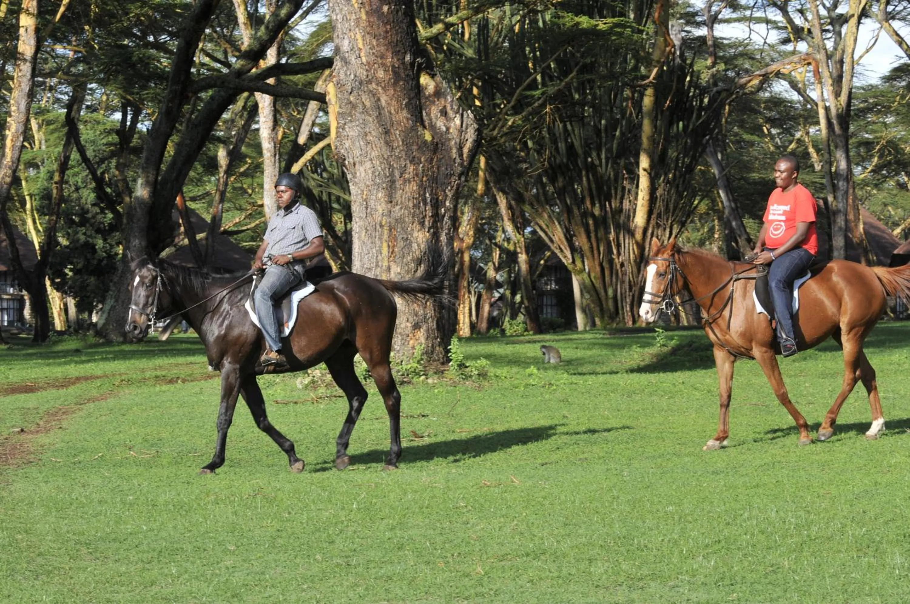 Horse-riding in Lake Naivasha Sopa Resort