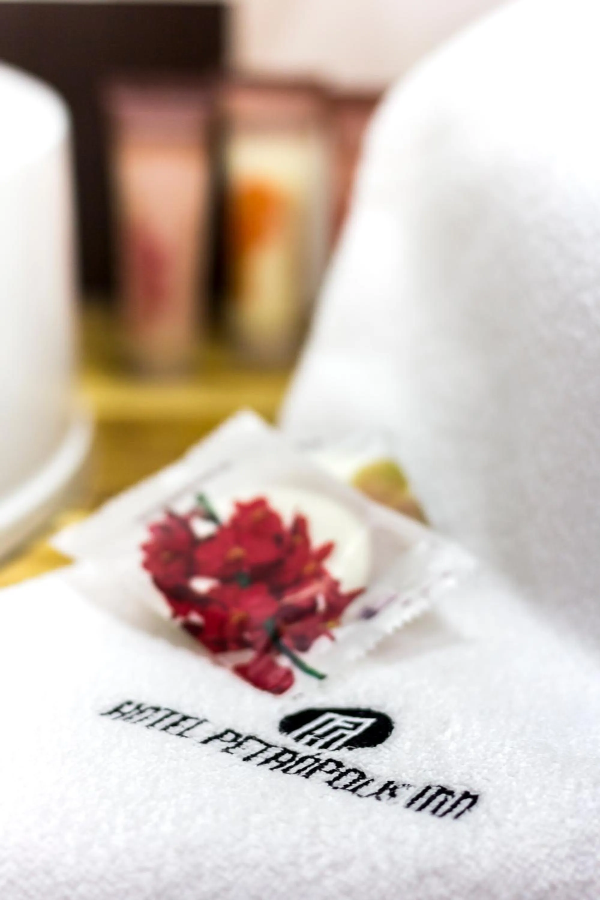 Bathroom, Bed in Hotel Petropolis Inn