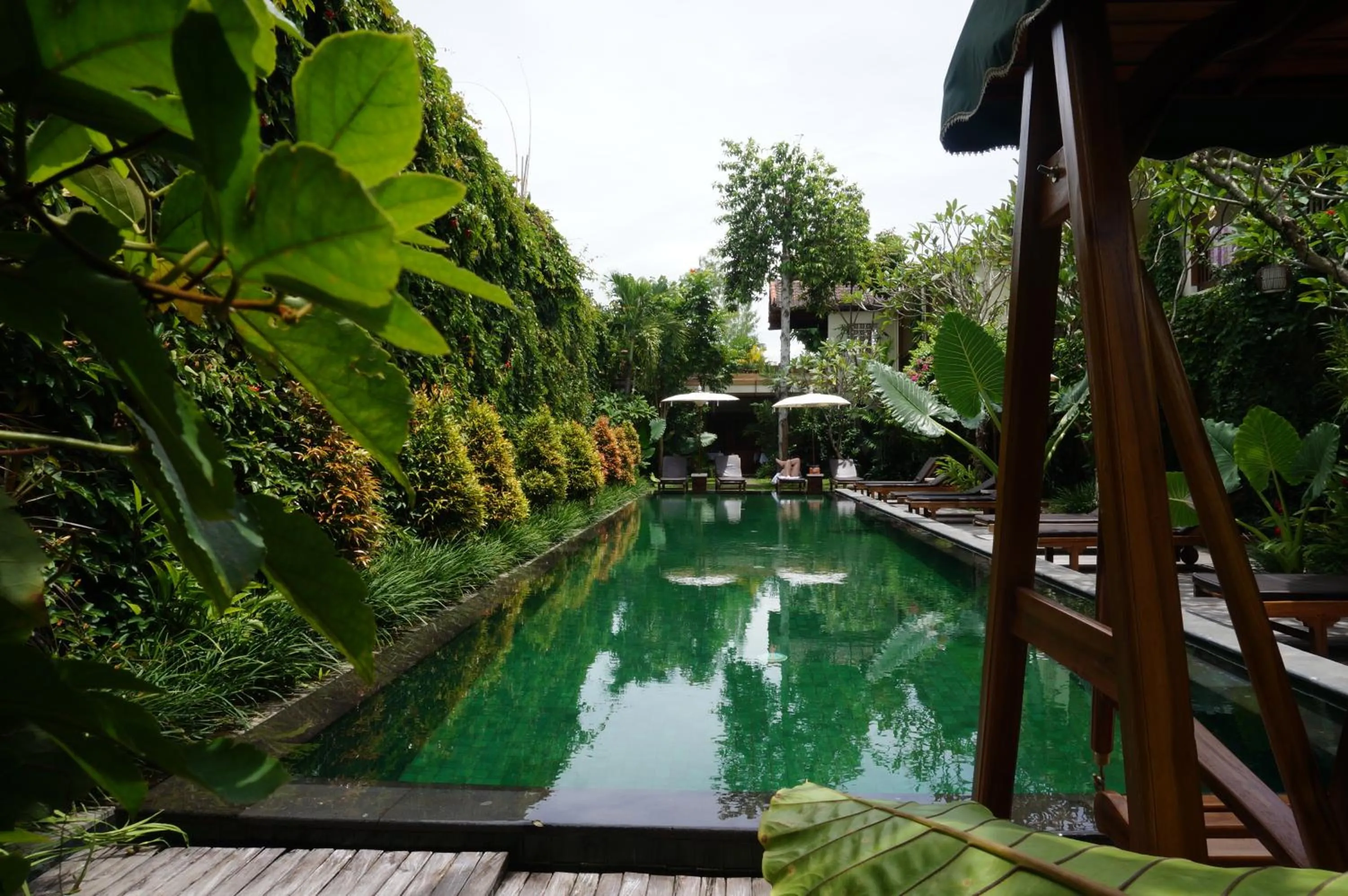 Pool view in Sapodilla Ubud