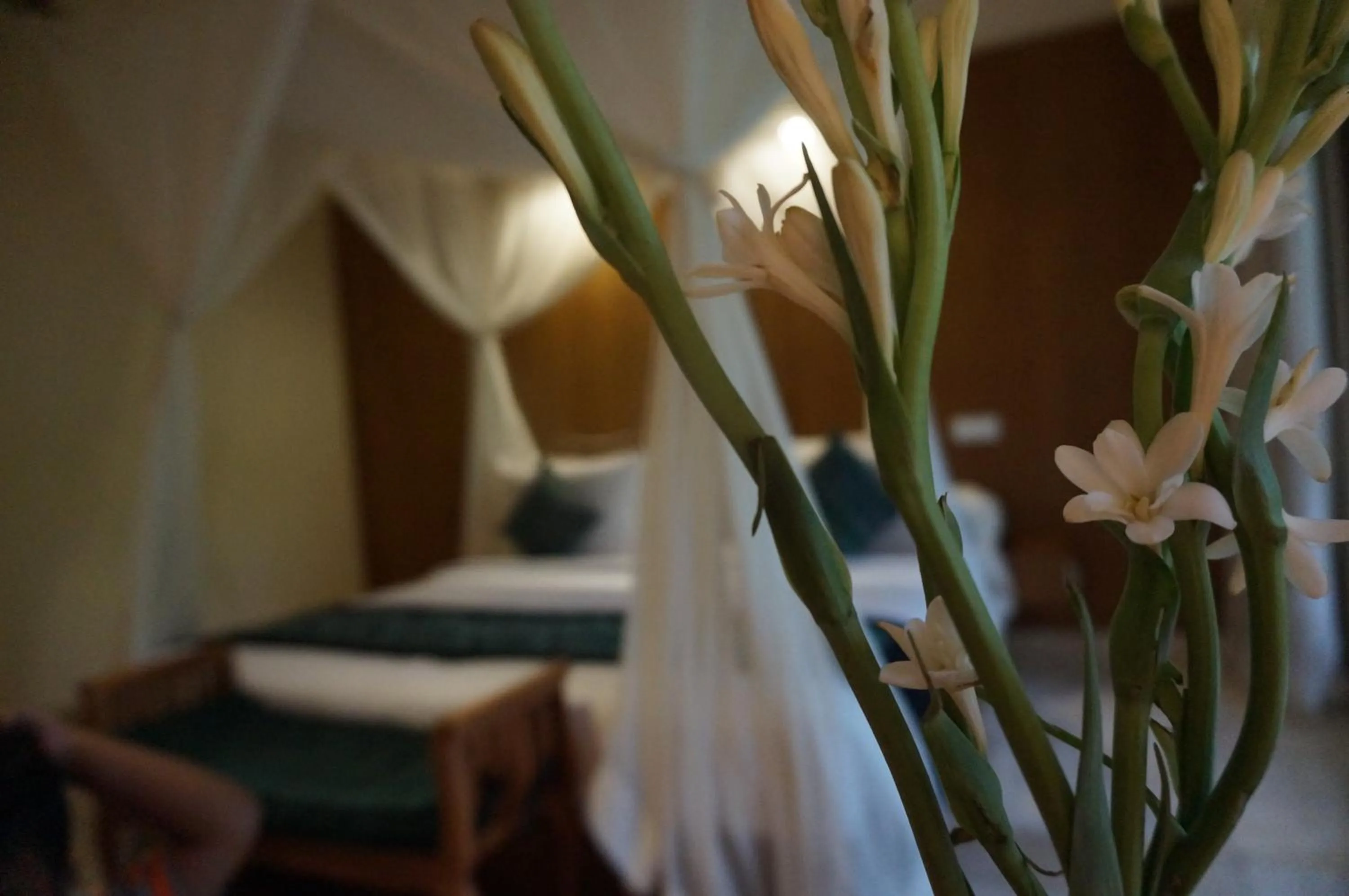Photo of the whole room, Bed in Sapodilla Ubud