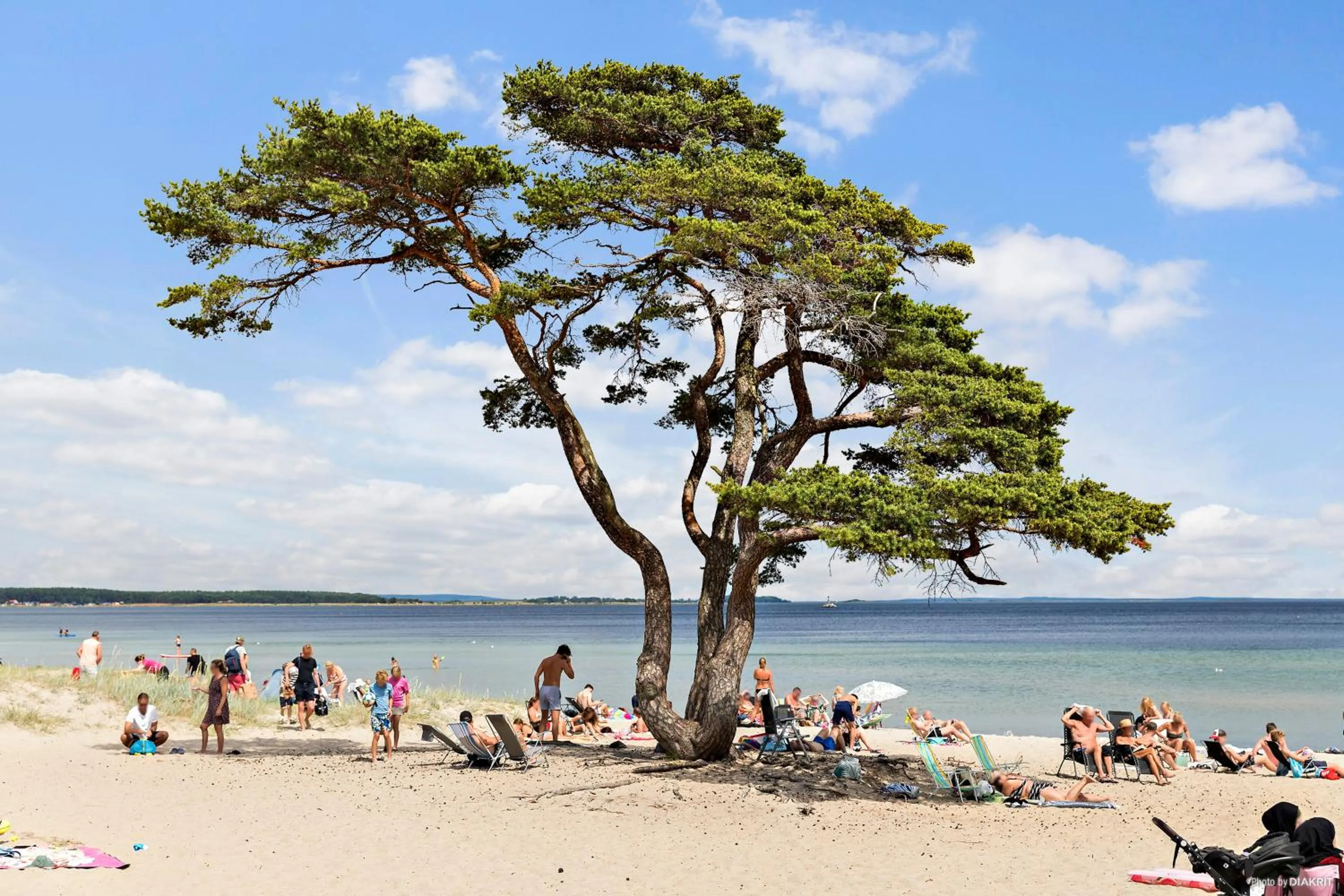 Beach in First Camp Åhus-Kristianstad