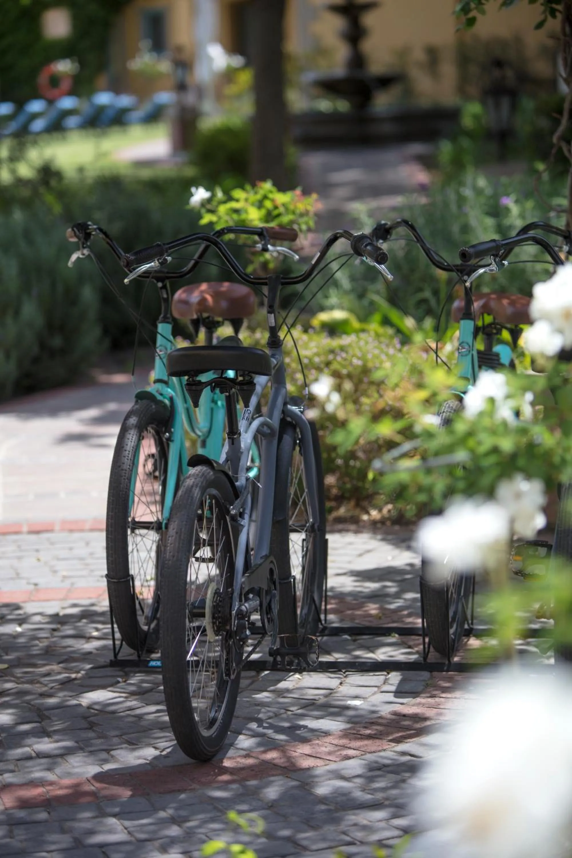 Cycling in Franschhoek Country House & Villas
