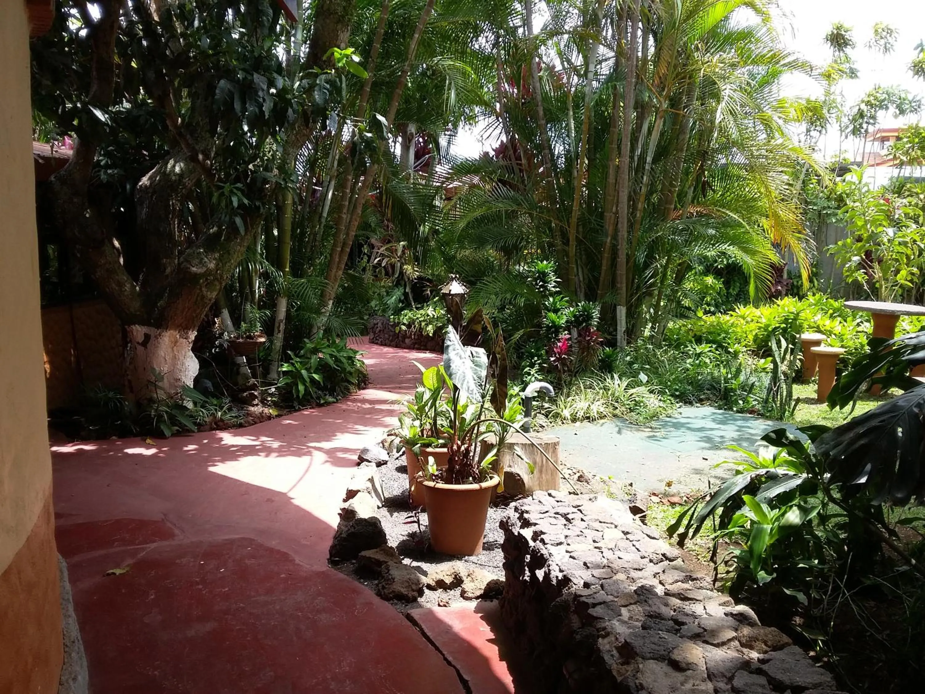 Garden in Hotel Cibeles Resort