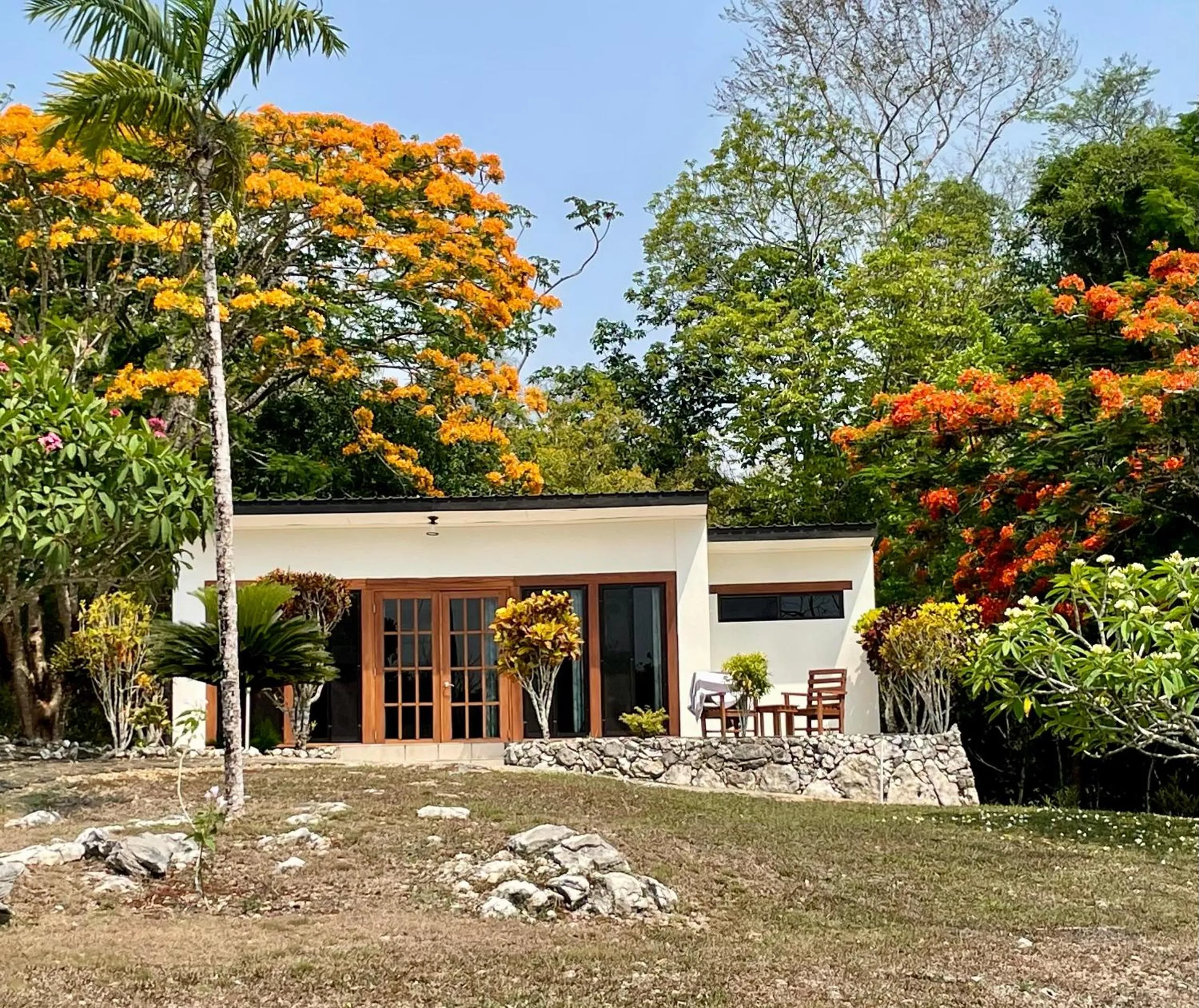 Garden in Gumbo Limbo Jungle Resort